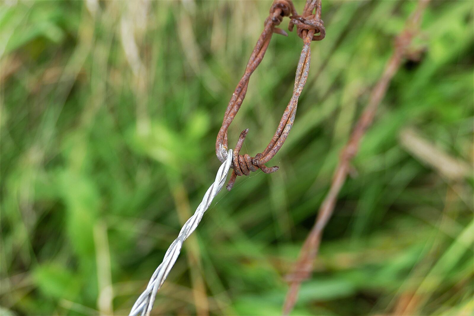 Panasonic Lumix DMC-FZ1000 sample photo. Barbed wire, rusty, old photography