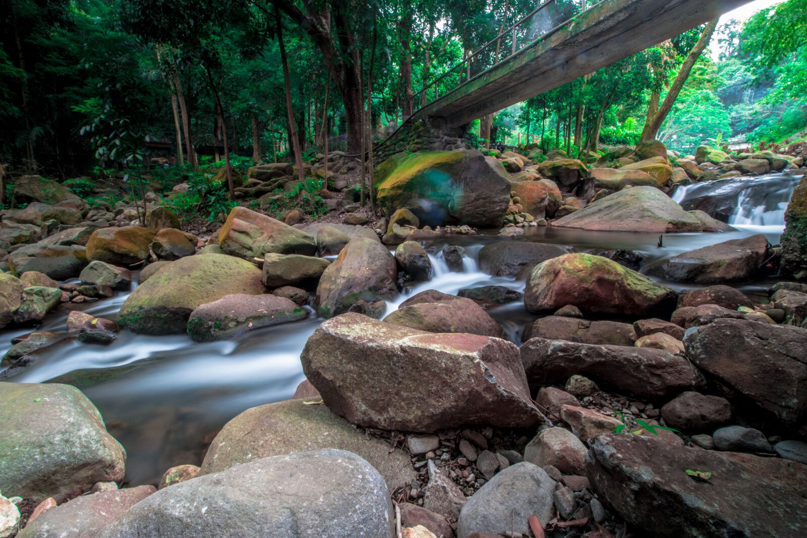 Canon EOS 70D sample photo. Nature, water, wood photography