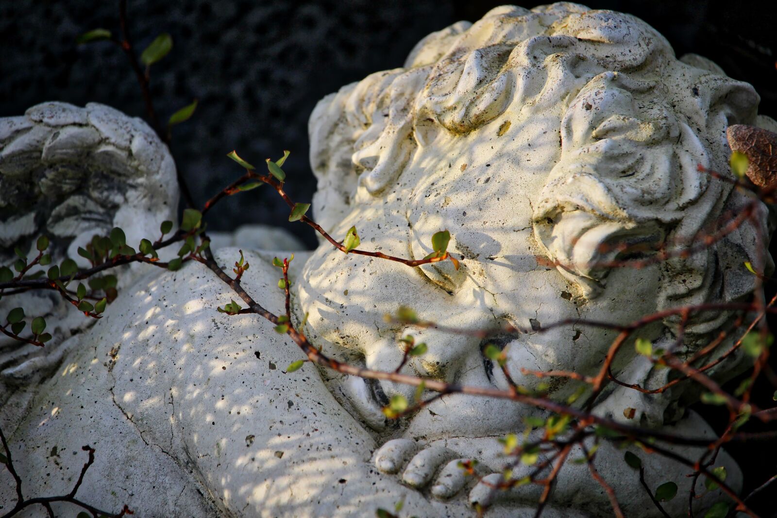 Canon EOS 100D (EOS Rebel SL1 / EOS Kiss X7) sample photo. Cherub, cemetery, grave photography