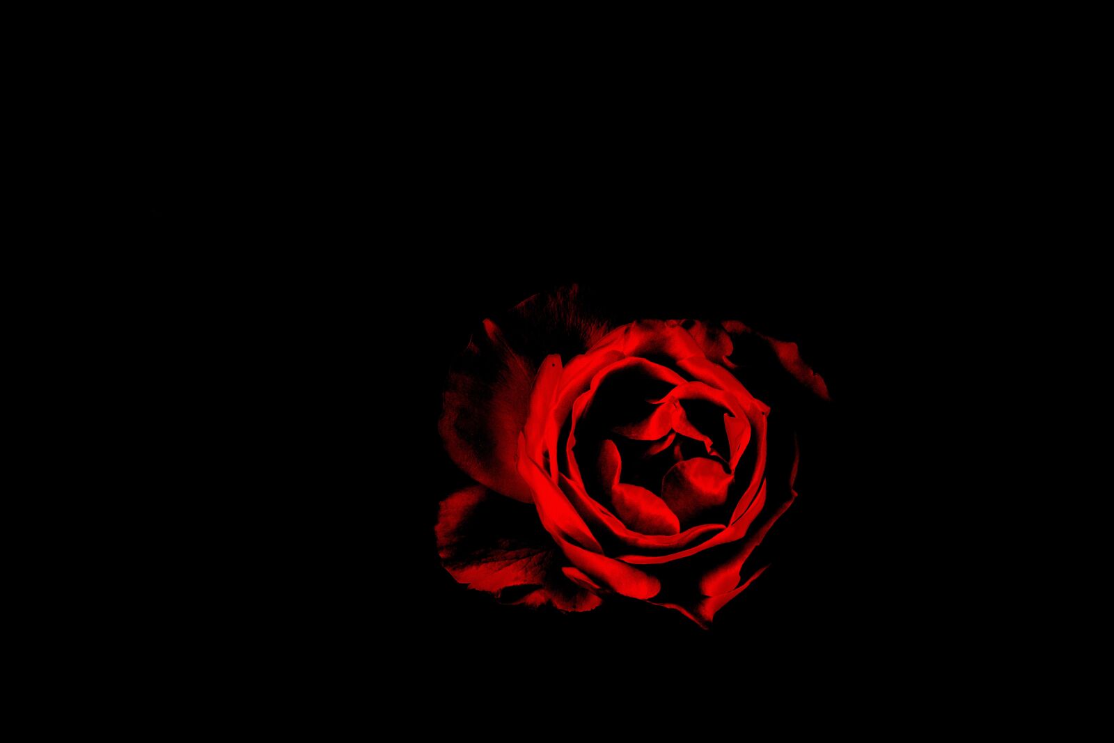 Nikon D3400 sample photo. Dark, black, night photography
