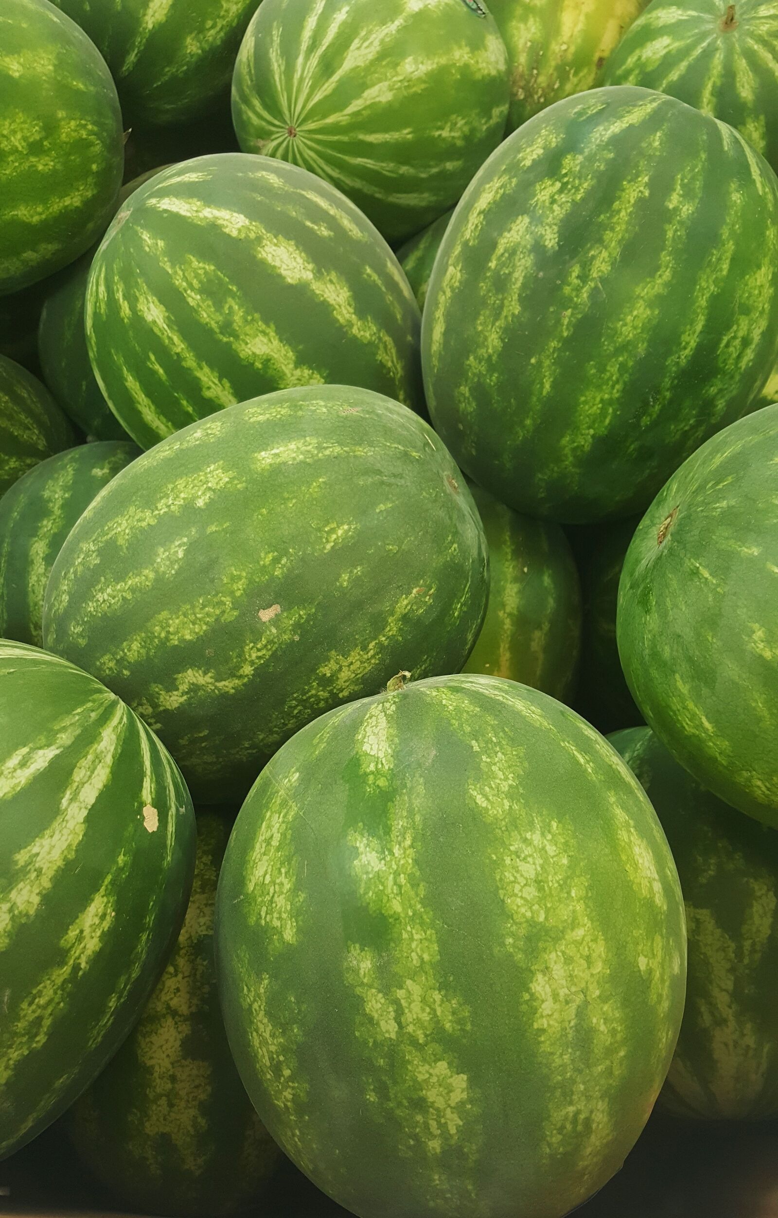 Samsung Galaxy Note5 sample photo. Watermelon, melon, seedless photography