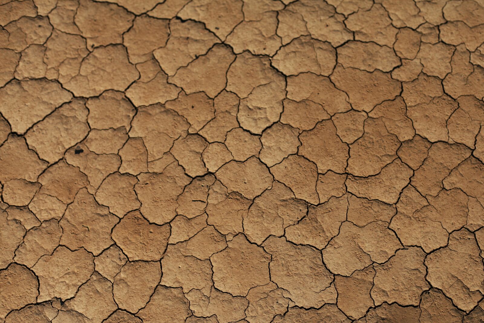 Canon EOS 5D Mark II sample photo. Sand, desert, drought photography