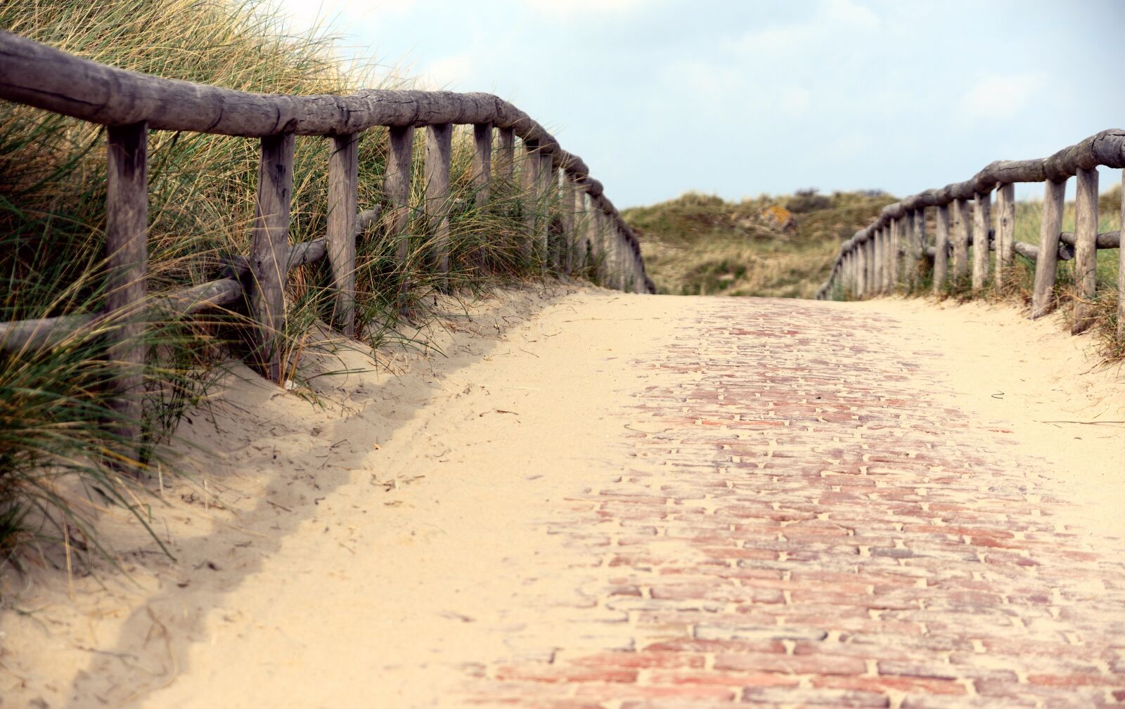 Nikon D610 sample photo. Away, patch, north sea photography