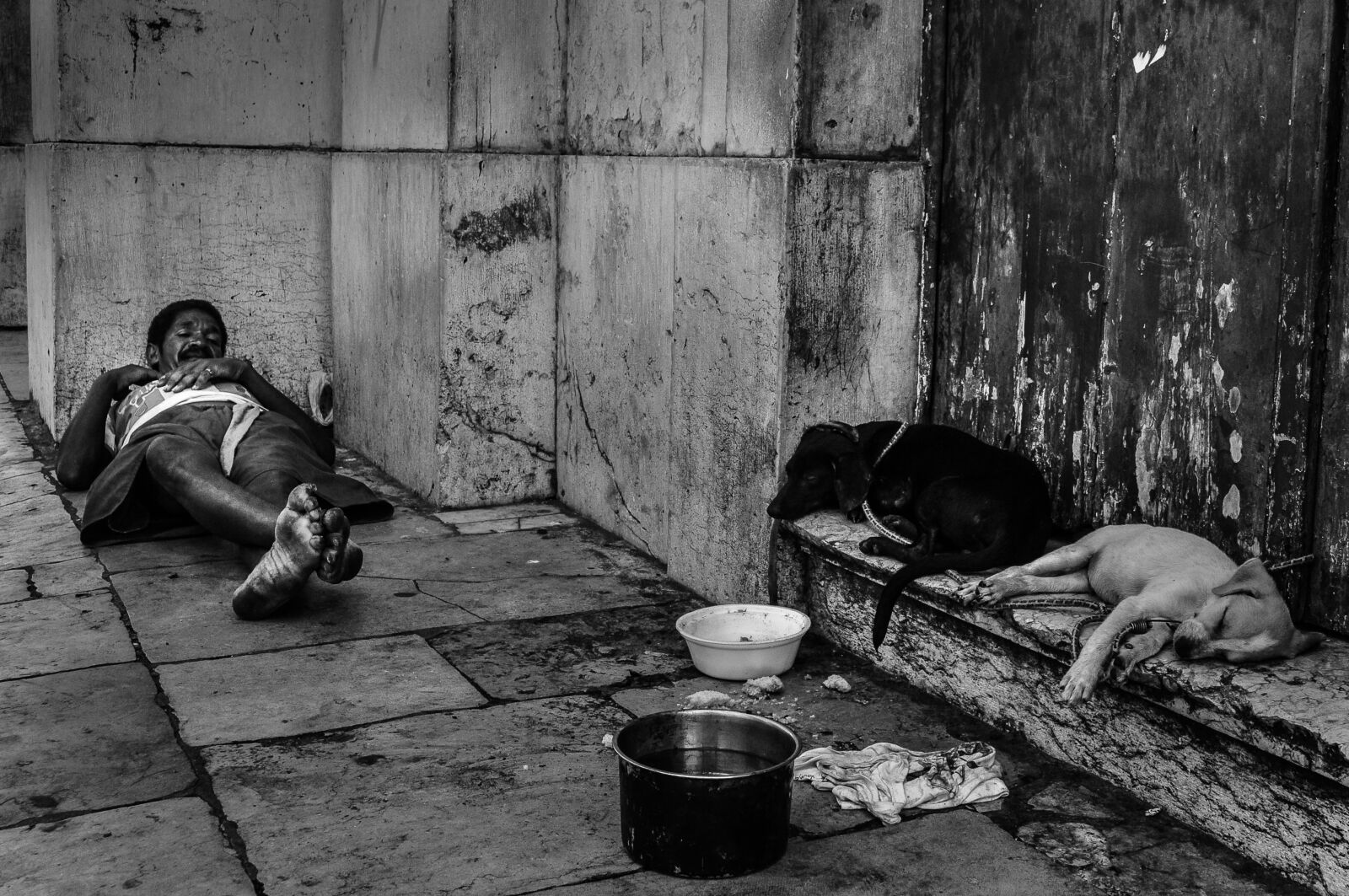 Nikon D5000 sample photo. Dogs, poverty, recife photography