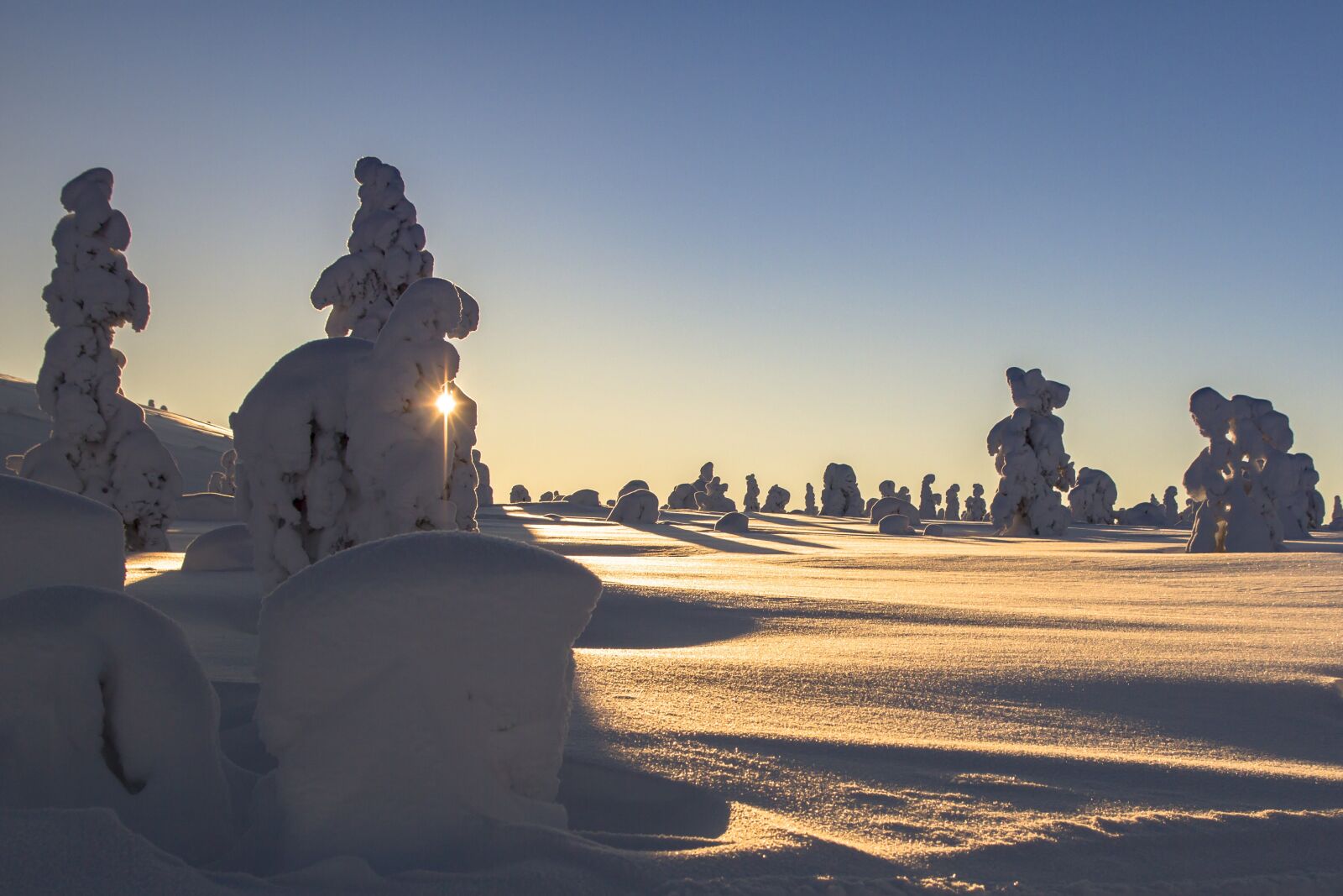 Canon EOS 7D sample photo. Lapland, winter, snow photography