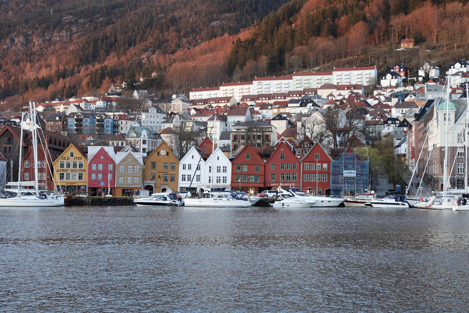 Canon EOS 5D Mark IV sample photo. Norway, mountains, port photography