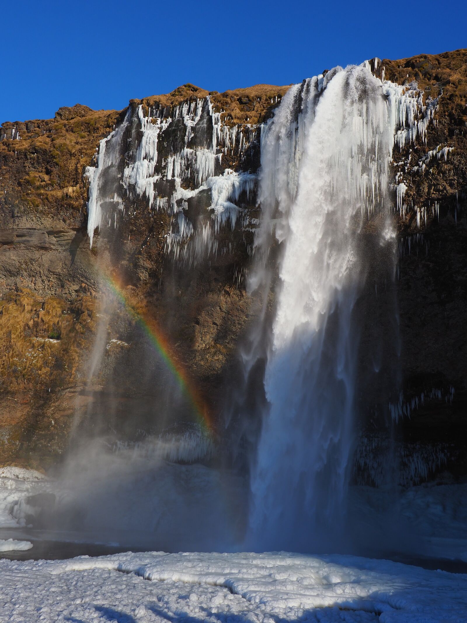 Olympus M.Zuiko Digital ED 12-100mm F4.0 IS Pro sample photo. Iceland, waterfall, seljalandsfoss photography