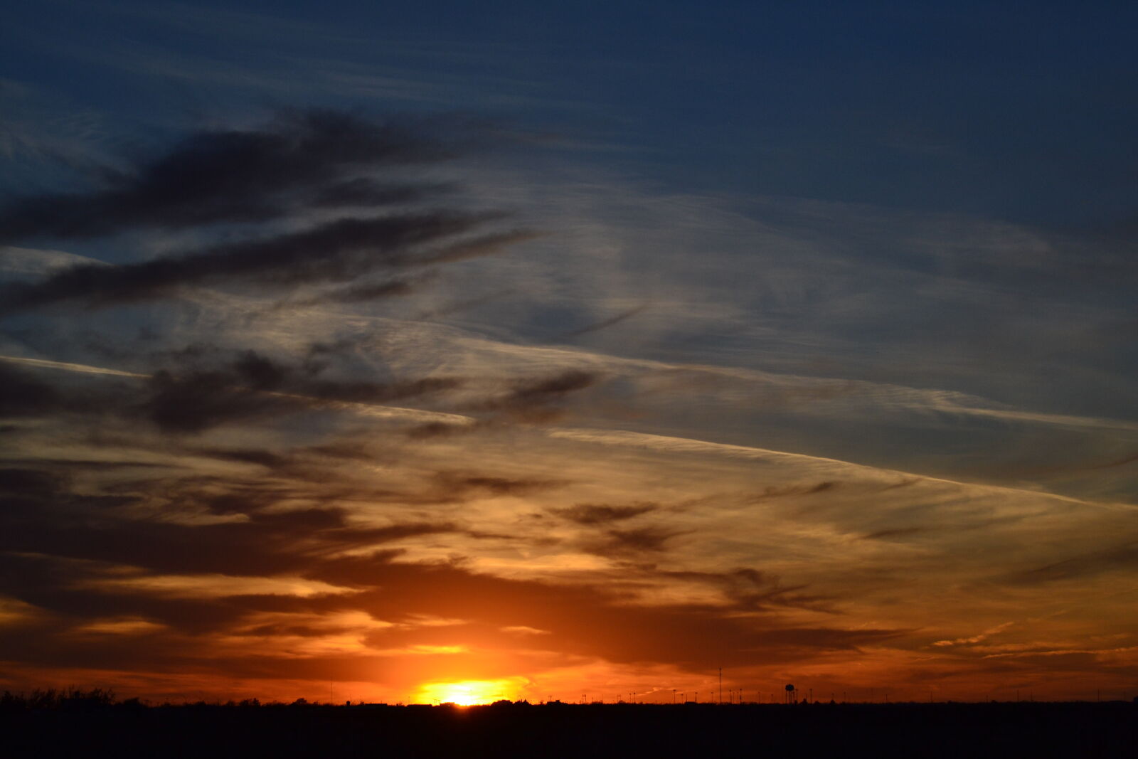 Nikon D3100 sample photo