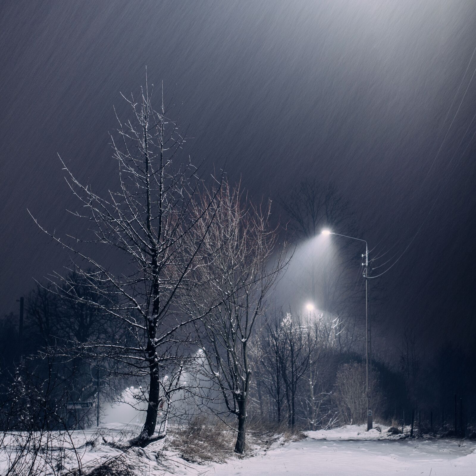 Olympus OM-D E-M5 sample photo. Snow, dark, night photography