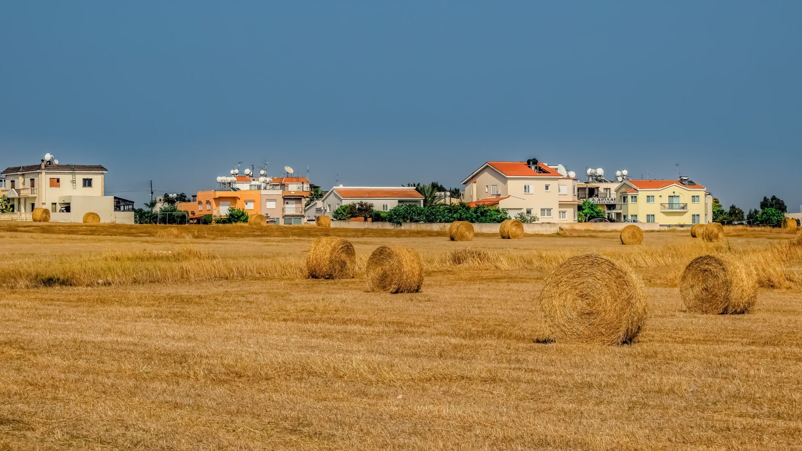 Nikon D3300 sample photo. Agriculture, farm, straw photography