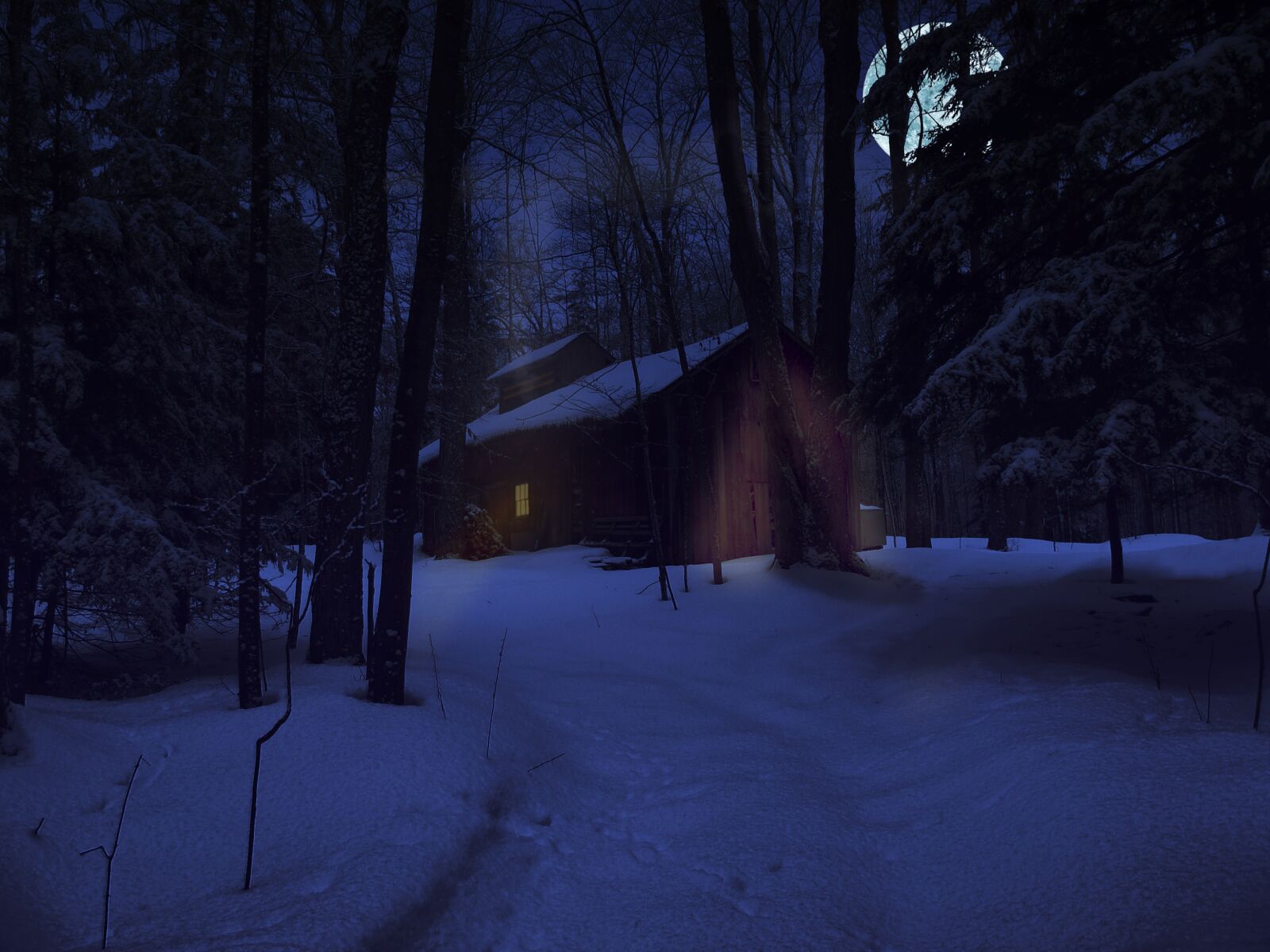 Sony DSC-H3 sample photo. Winter, night, snow photography