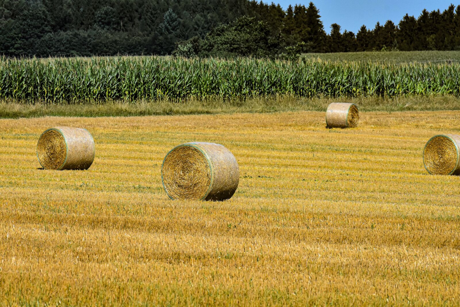 Nikon D7200 sample photo. Hay bales, landscape, farm photography