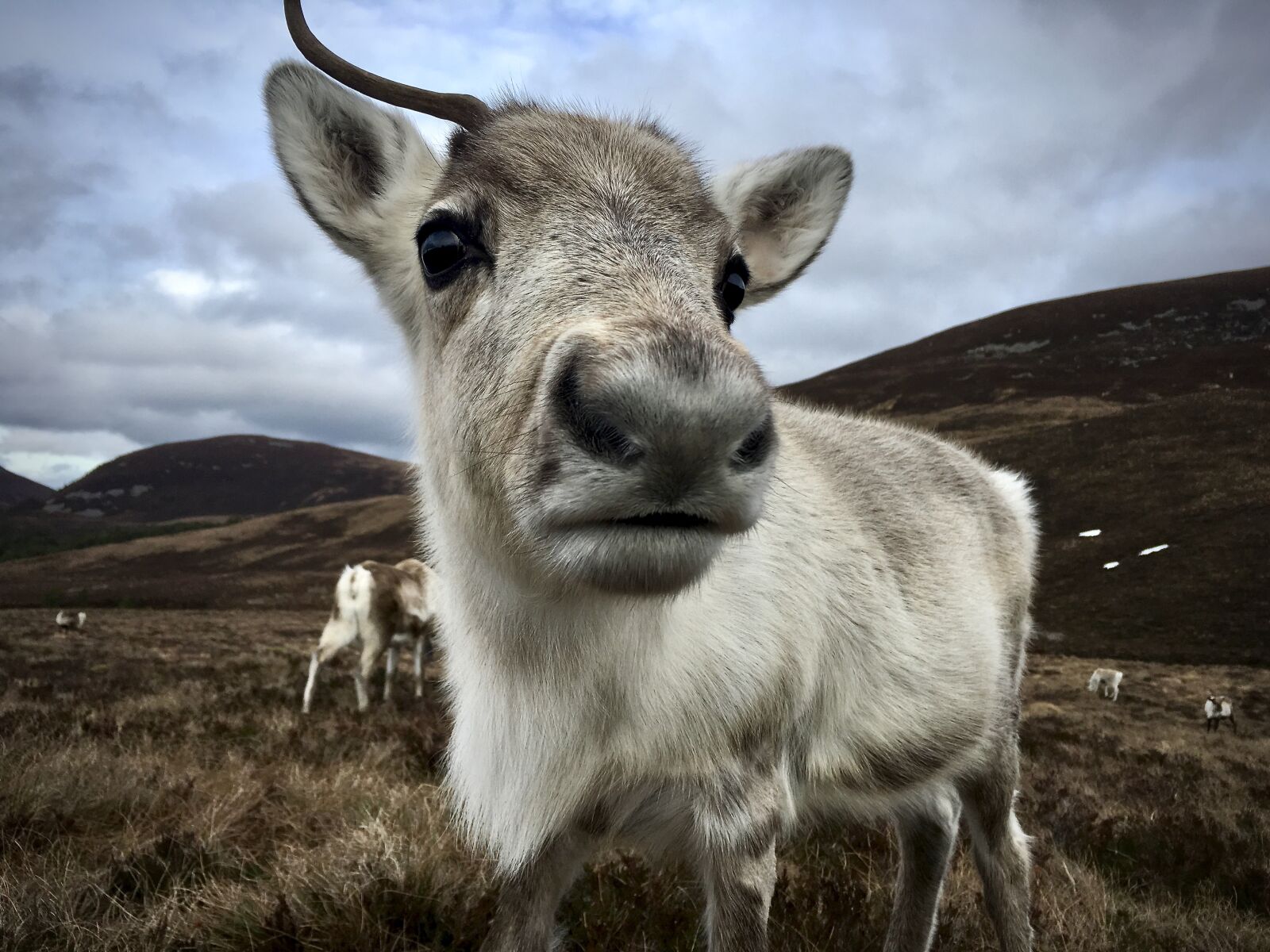 iPhone SE back camera 4.15mm f/2.2 sample photo. Scotland, hiking, outdoors photography