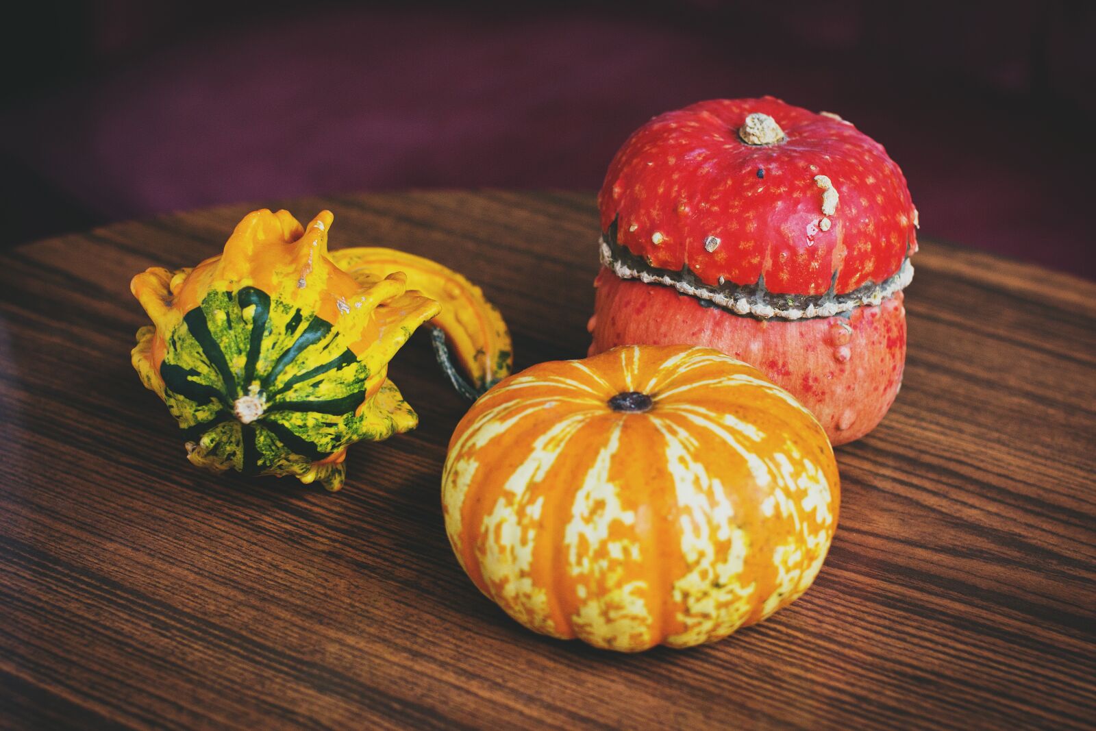Canon EOS 60D sample photo. Nature, halloween, olsztyn photography
