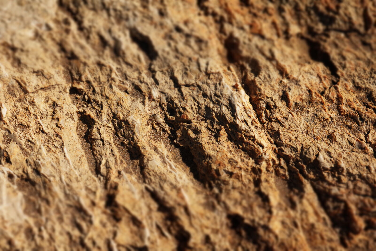 Canon EOS 750D (EOS Rebel T6i / EOS Kiss X8i) sample photo. Stone, wall photography