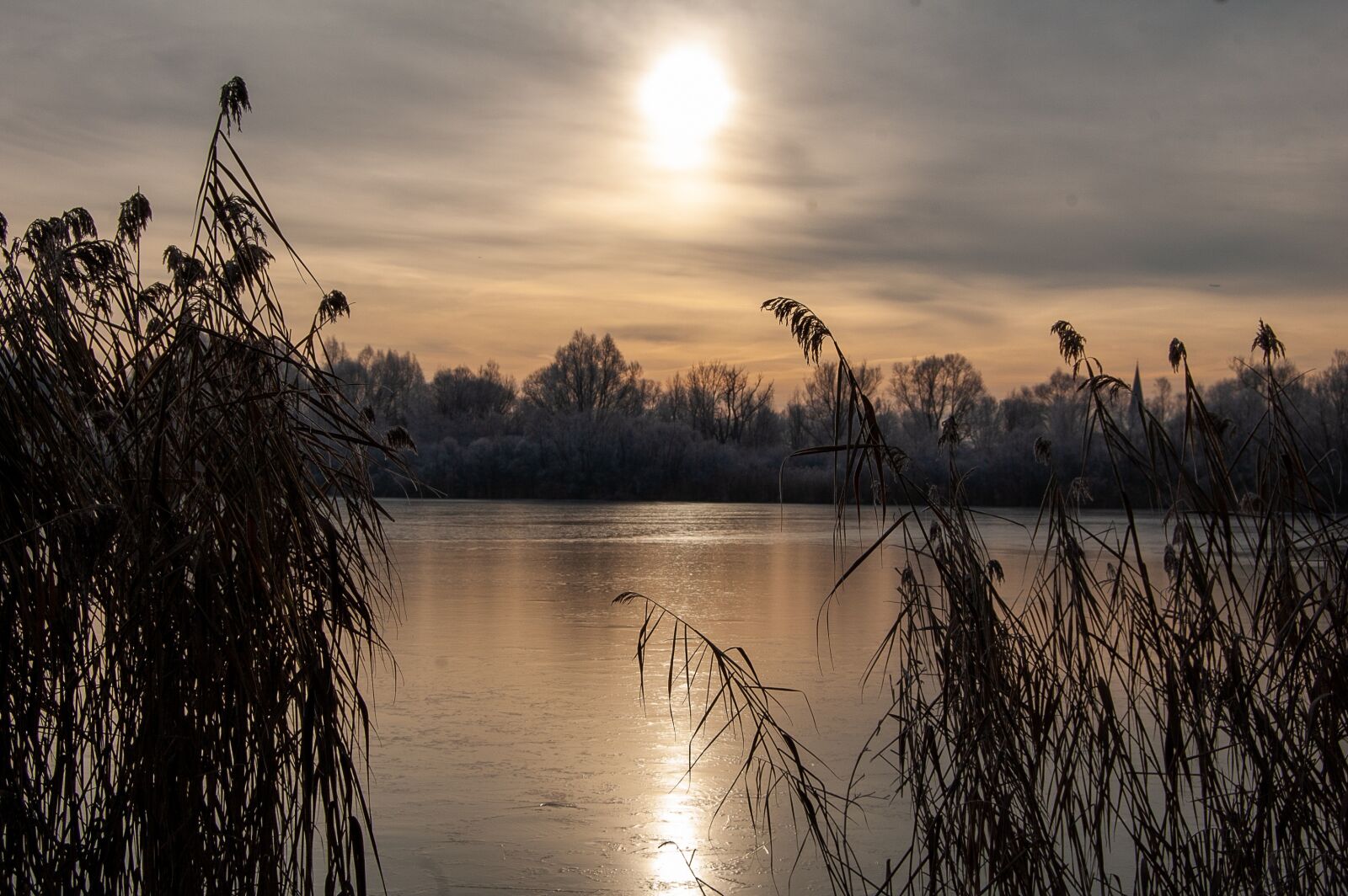 Nikon D40 sample photo. Winter, lake, pond photography