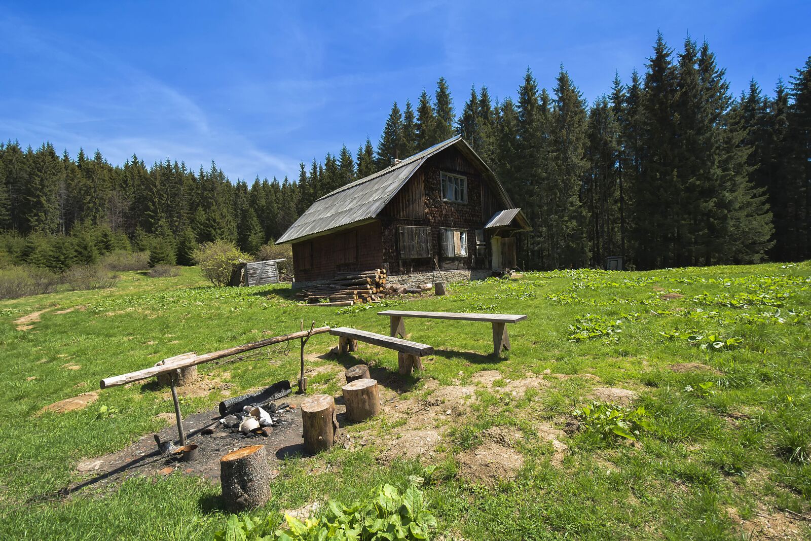 Nikon D5200 sample photo. Glade, landscape, nature photography