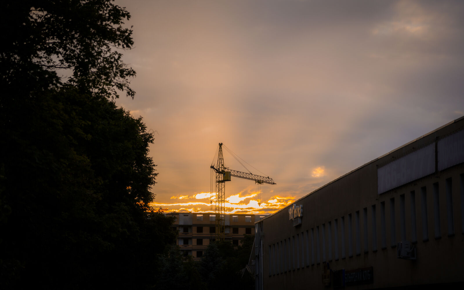 Sony a7 III + Sony FE 24-105mm F4 G OSS sample photo