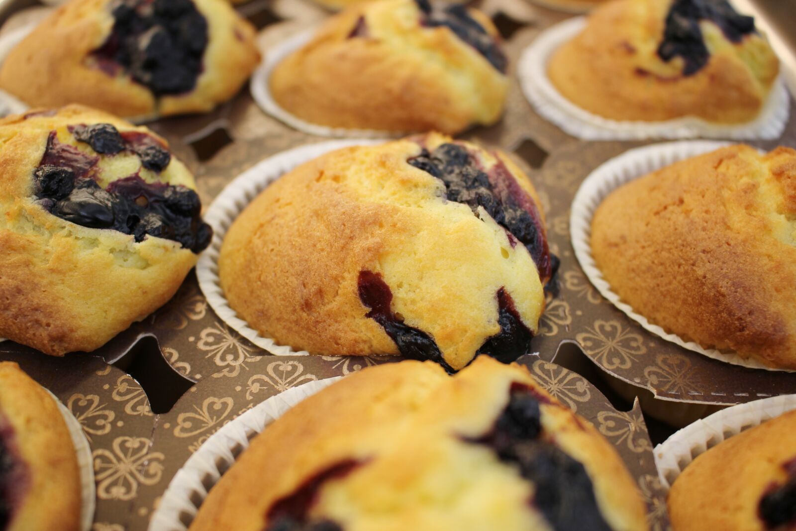 Canon EOS 550D (EOS Rebel T2i / EOS Kiss X4) sample photo. Muffins, chocolate, chocolate muffins photography