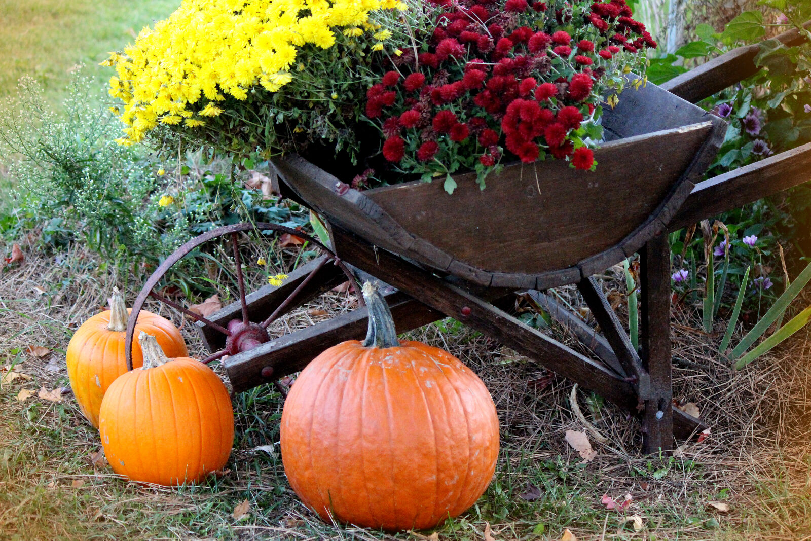 Canon EF-S 55-250mm F4-5.6 IS II sample photo. Autumn, decoration, pumpkins photography