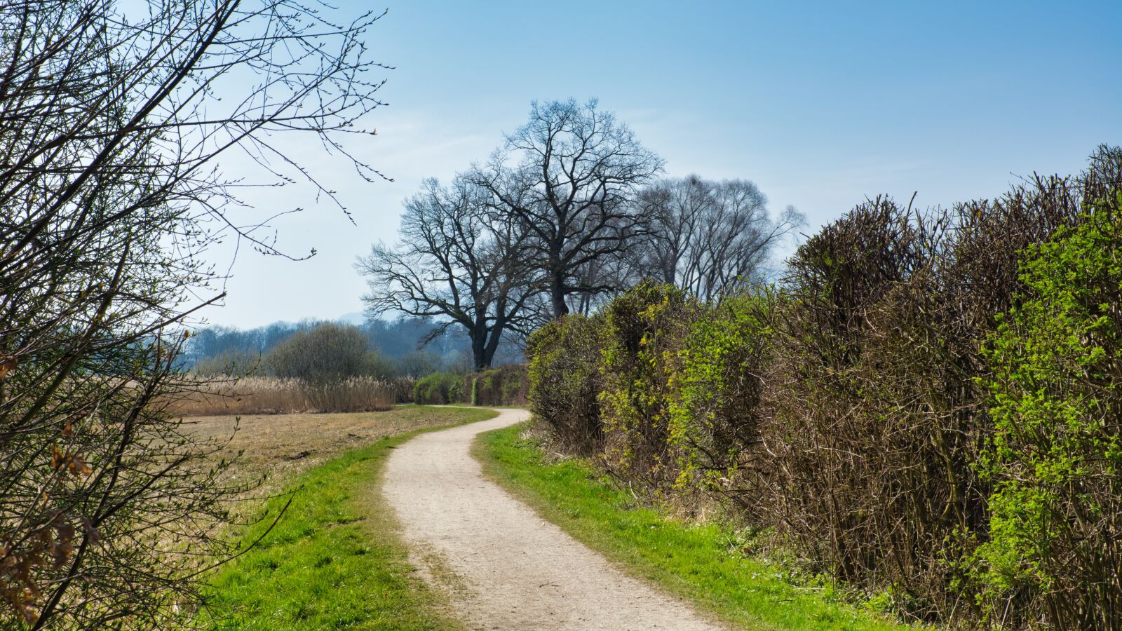 Nikon D7100 sample photo. Spring, away, path photography