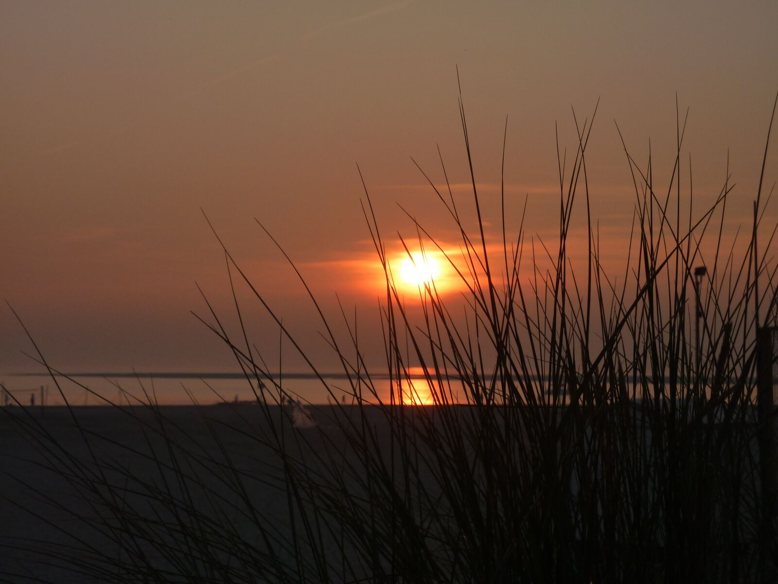 Panasonic DMC-TZ7 sample photo. Borkum, sunset, dunes photography