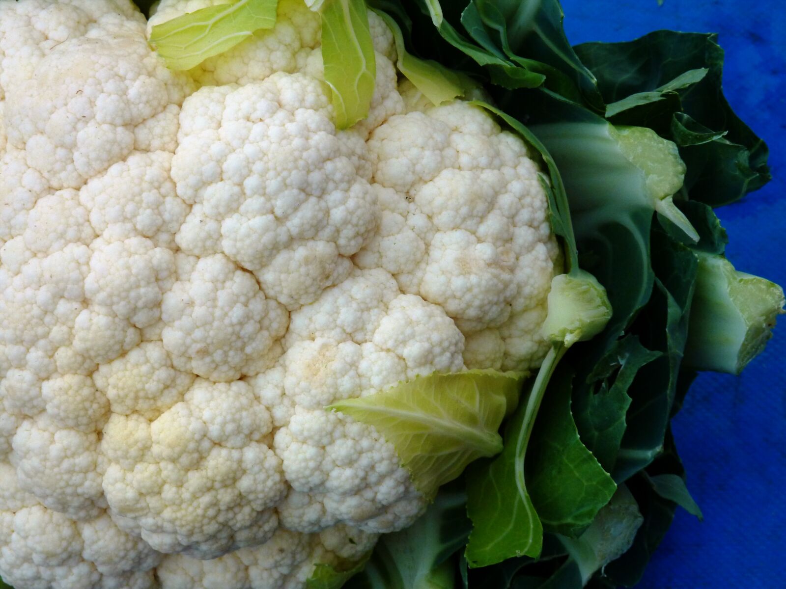 Panasonic DMC-TZ7 sample photo. Cauliflower, kohl, vegetables photography