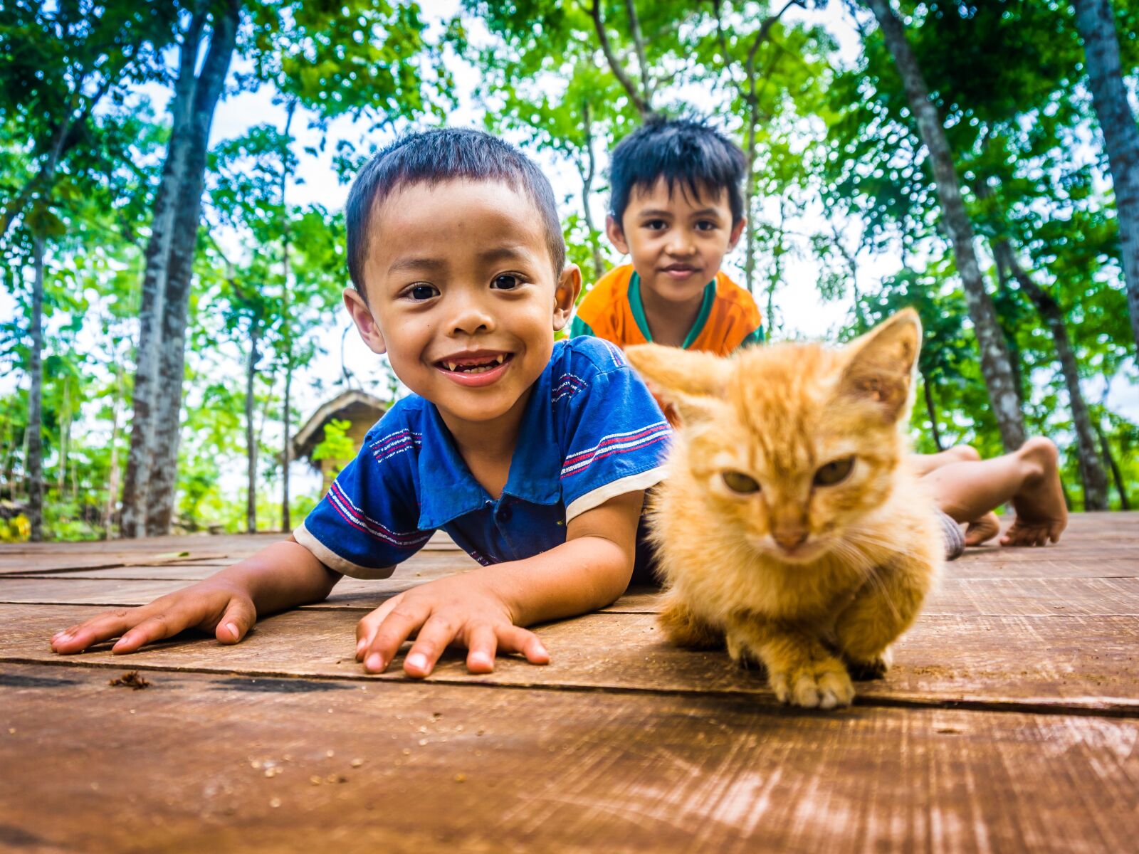 Sony a6000 sample photo. Cat, kids, play photography