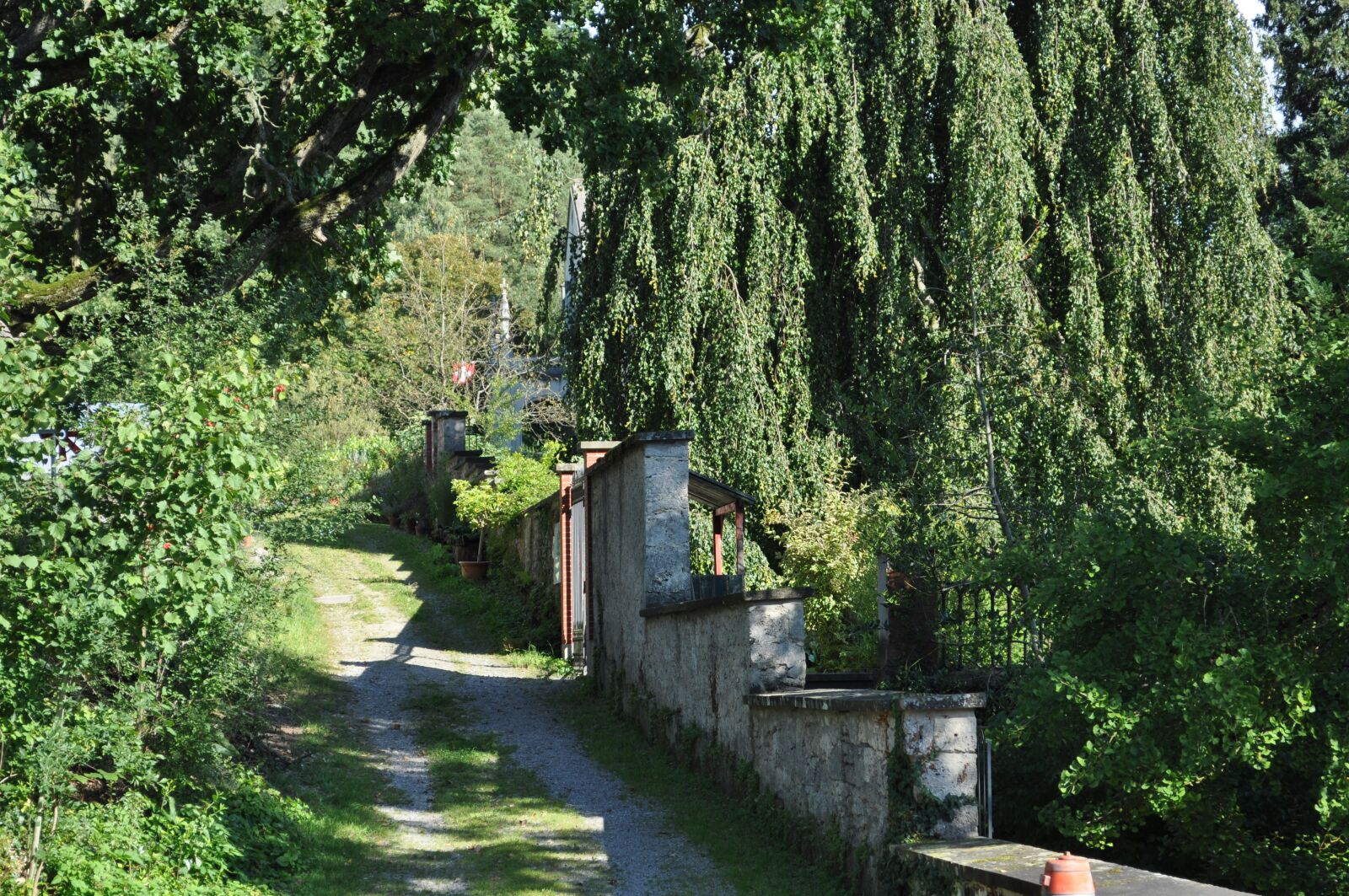 Nikon D5000 sample photo. Mood, nature, bright photography