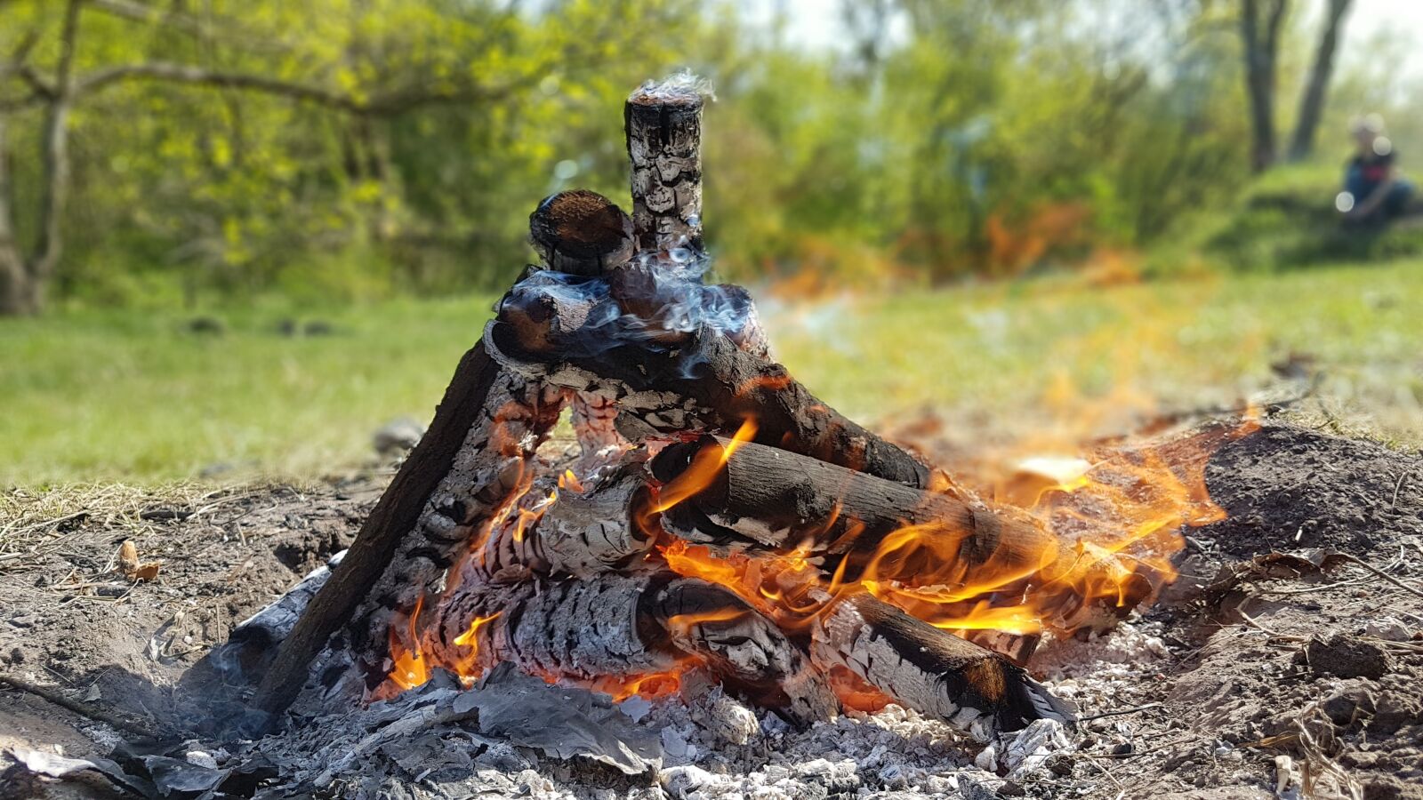 Samsung Galaxy S7 Edge sample photo. Fire, koster, shish kebab photography