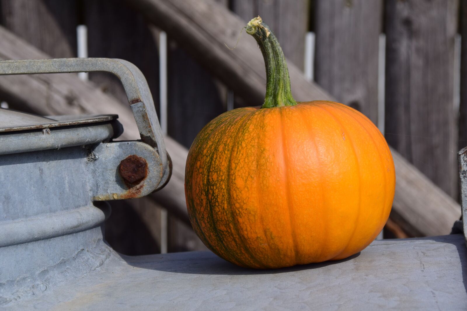 Nikon D3300 sample photo. Pumpkin, wooden wall, autumn photography