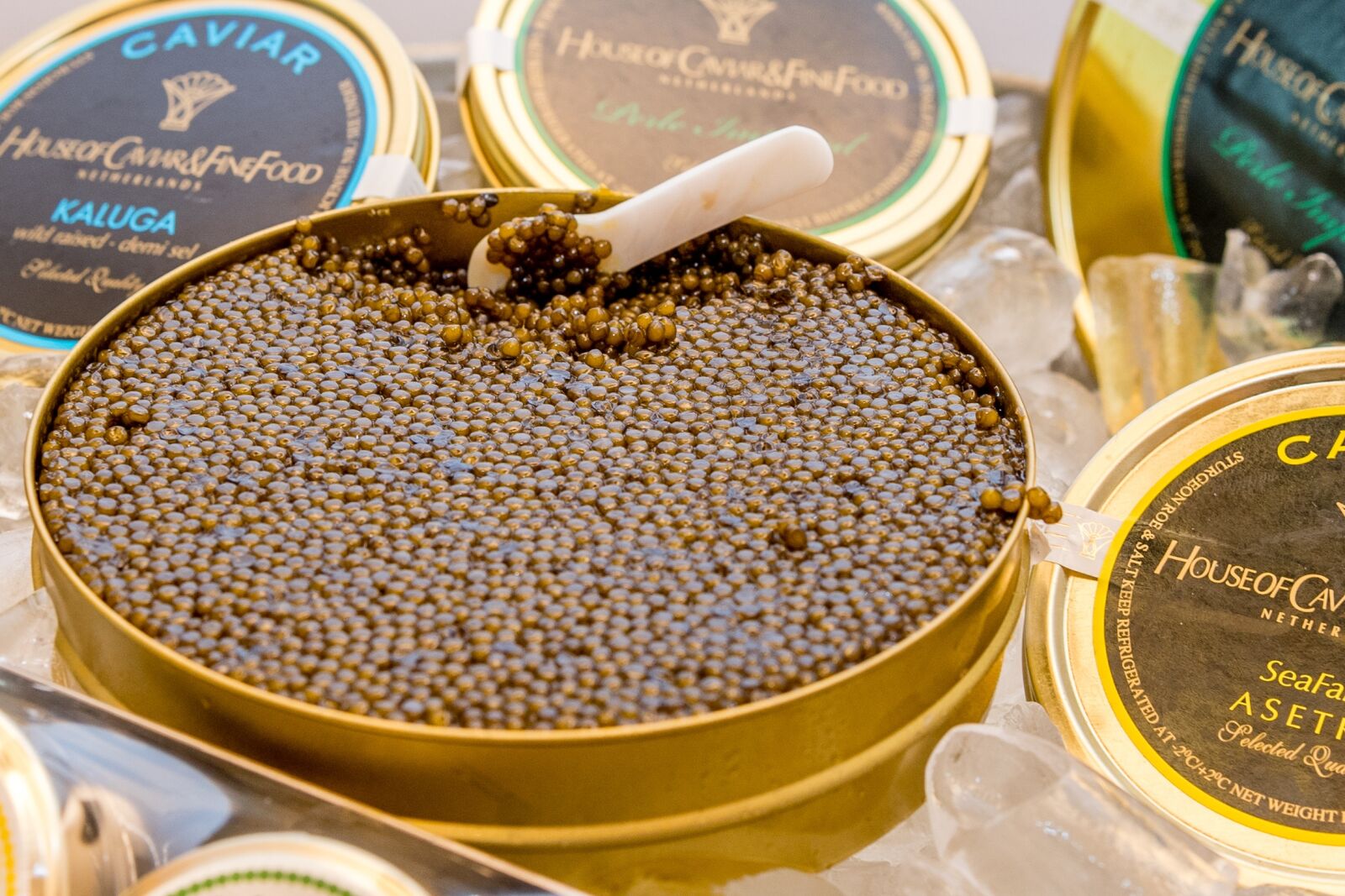 Nikon D5 sample photo. Caviar, delicacy, eat photography