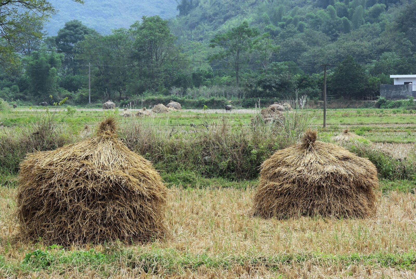 Pentax K200D sample photo. China, yangshuo, landscape photography
