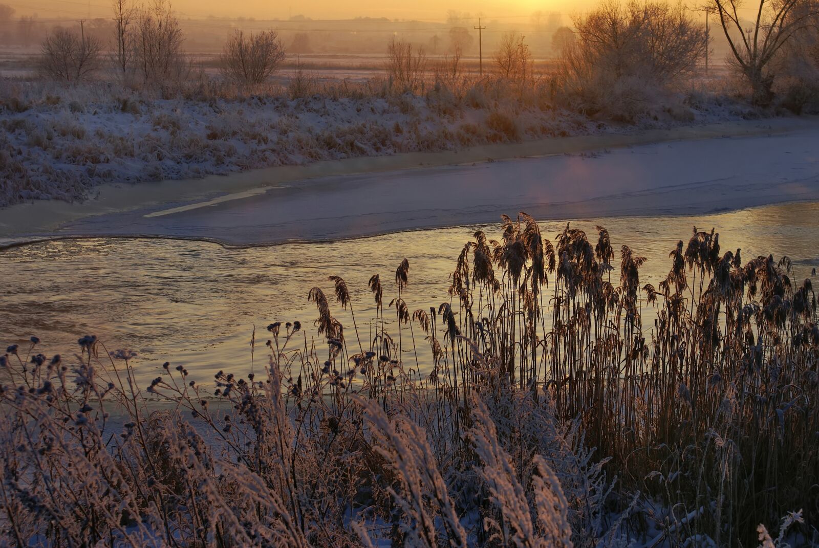 Sony Alpha DSLR-A100 sample photo. River, cane, winter photography