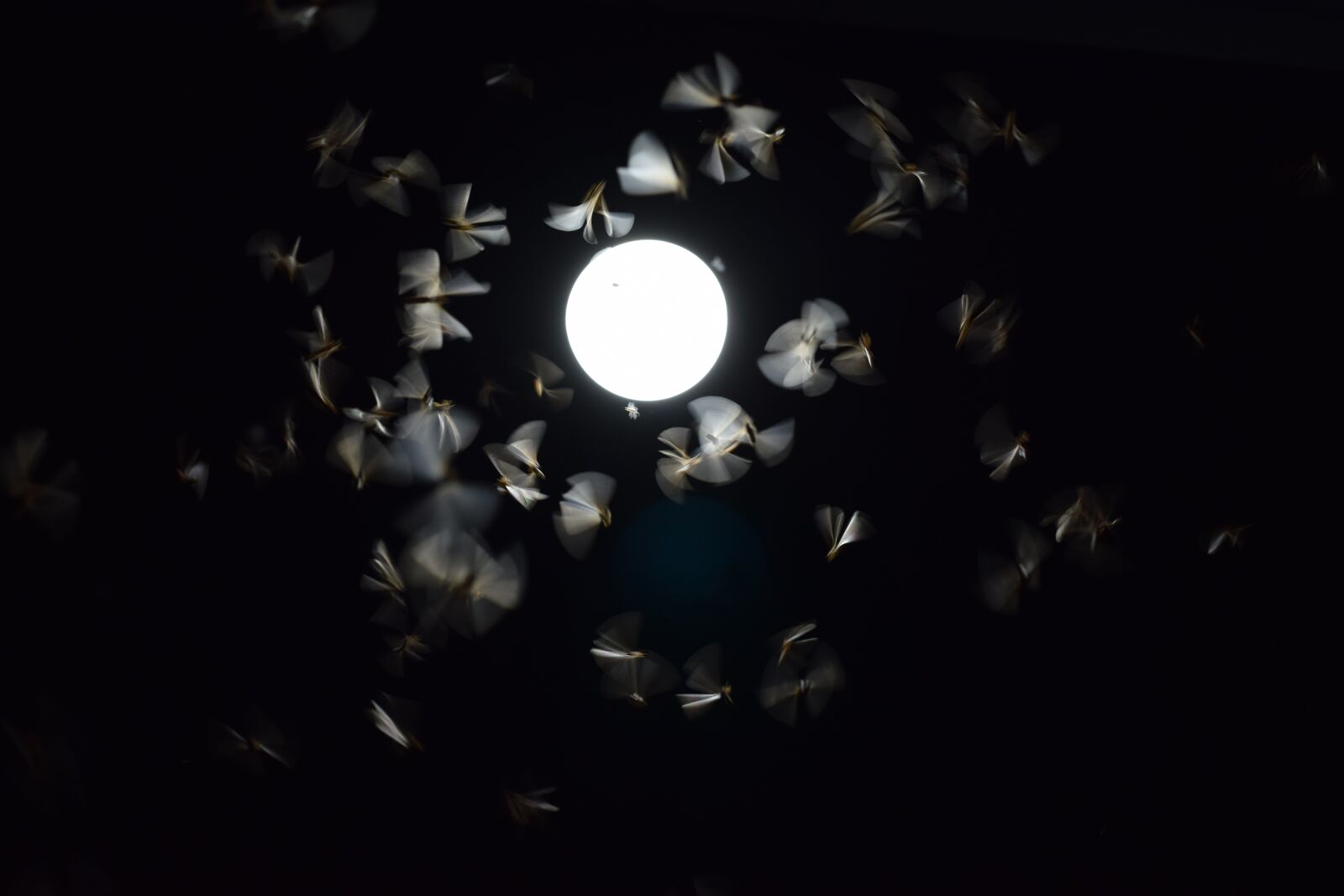 Nikon D3300 sample photo. Night, black, shade photography