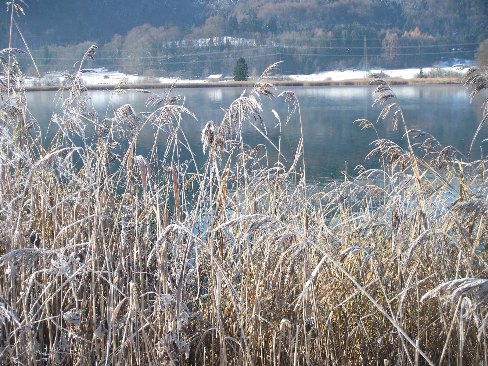 Fujifilm FinePix Z300 sample photo. Winter lake, wintry, frozen photography