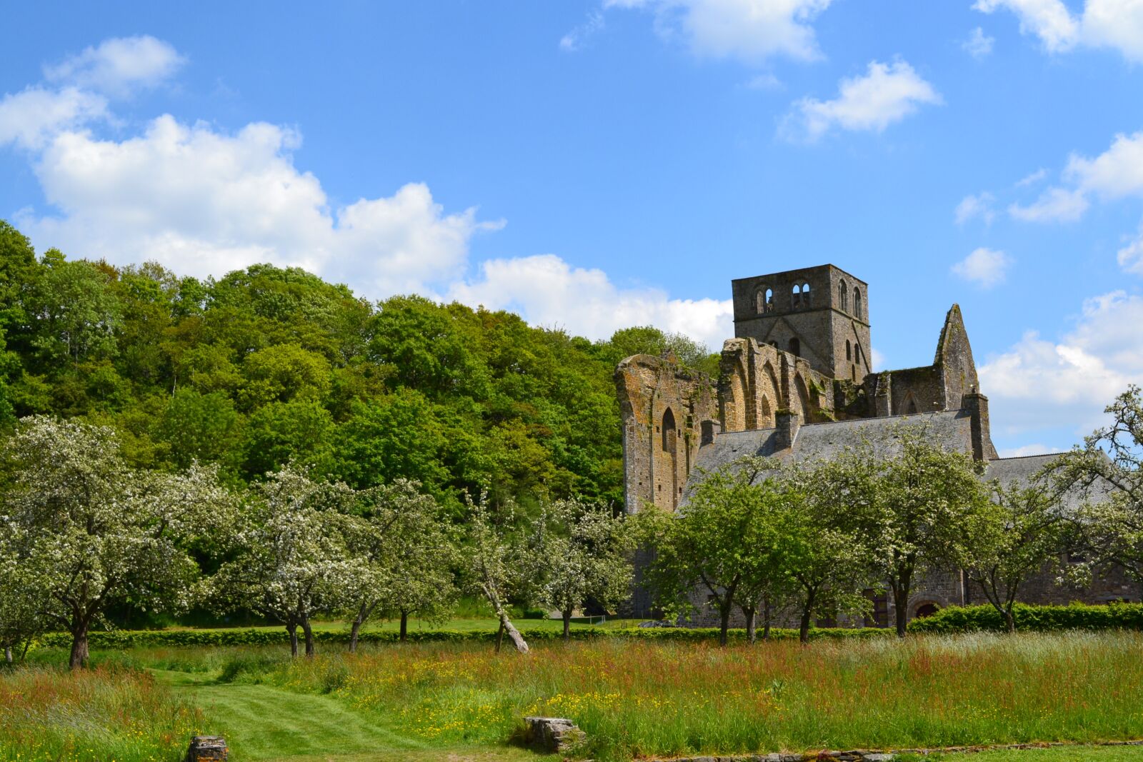 Nikon D3100 sample photo. Abbey, hambye, normandy photography