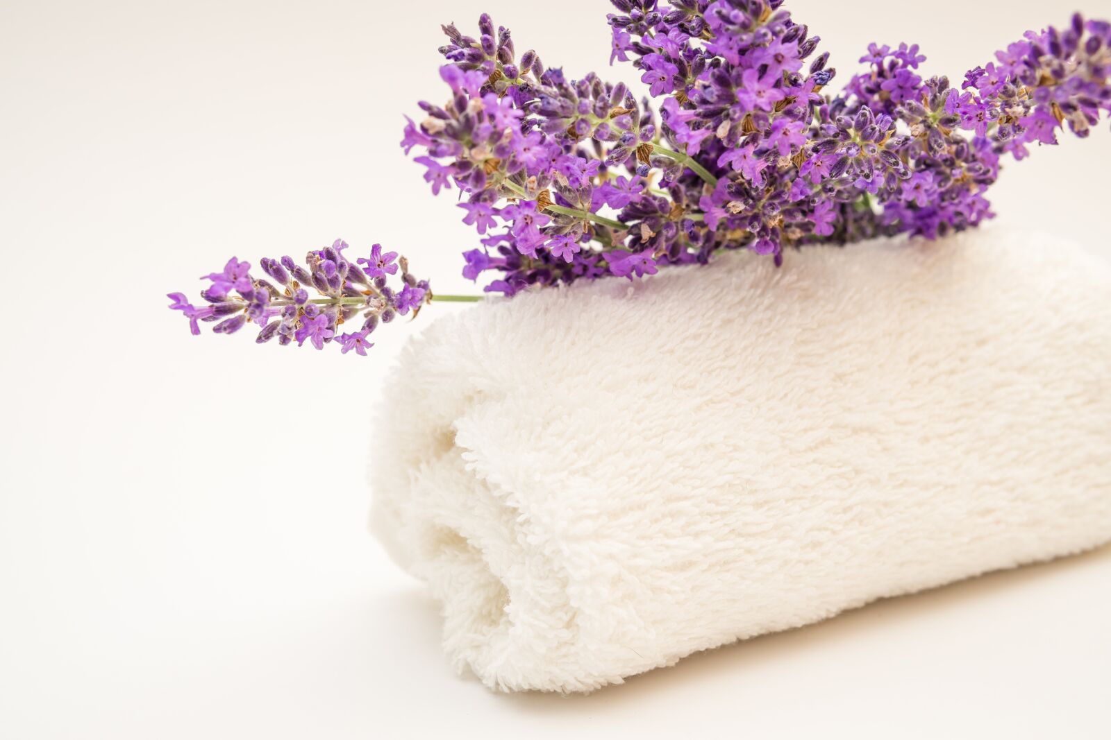30mm F1.4 DC DN | Contemporary 016 sample photo. Lavender, flower, plant photography