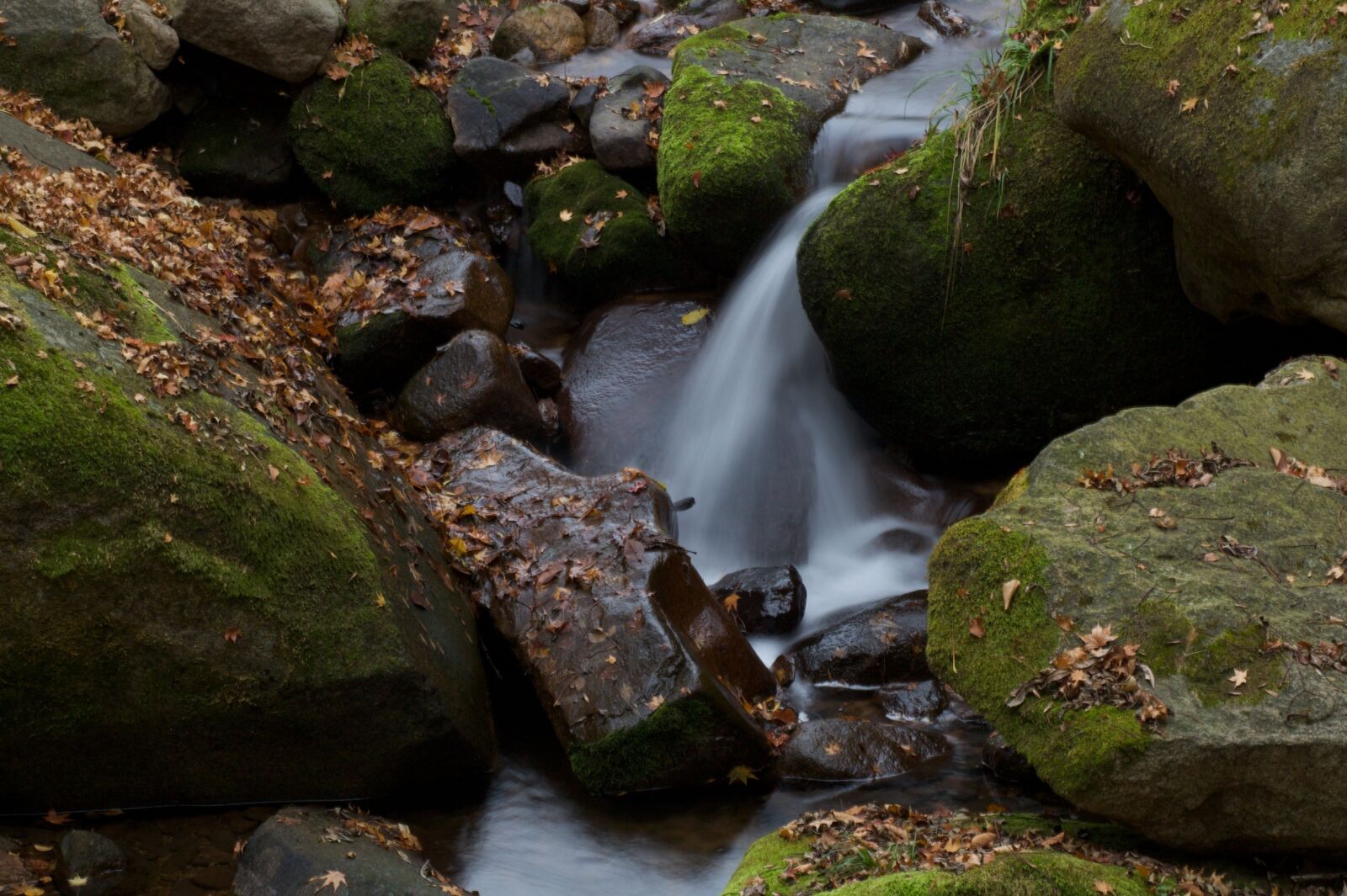 Canon EOS 500D (EOS Rebel T1i / EOS Kiss X3) sample photo. Stream, water, stone photography