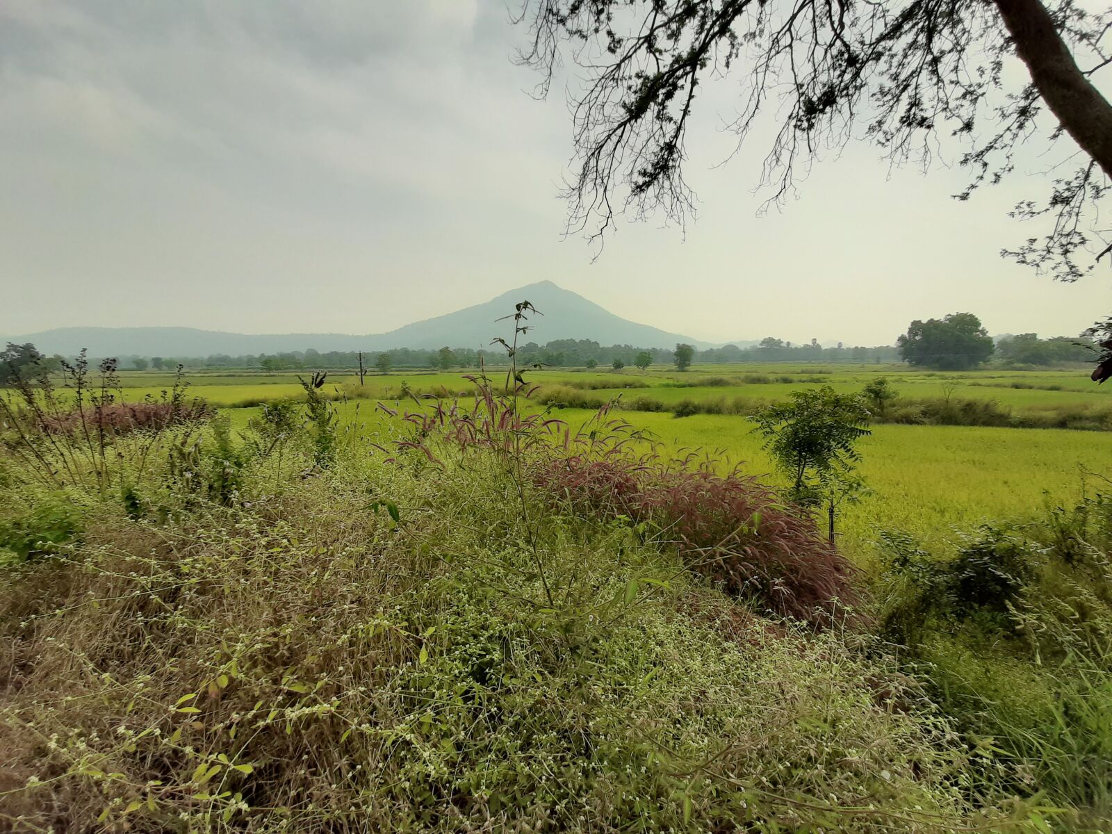 Samsung SM-A505F sample photo. Nature, beautiful nature, nature photography