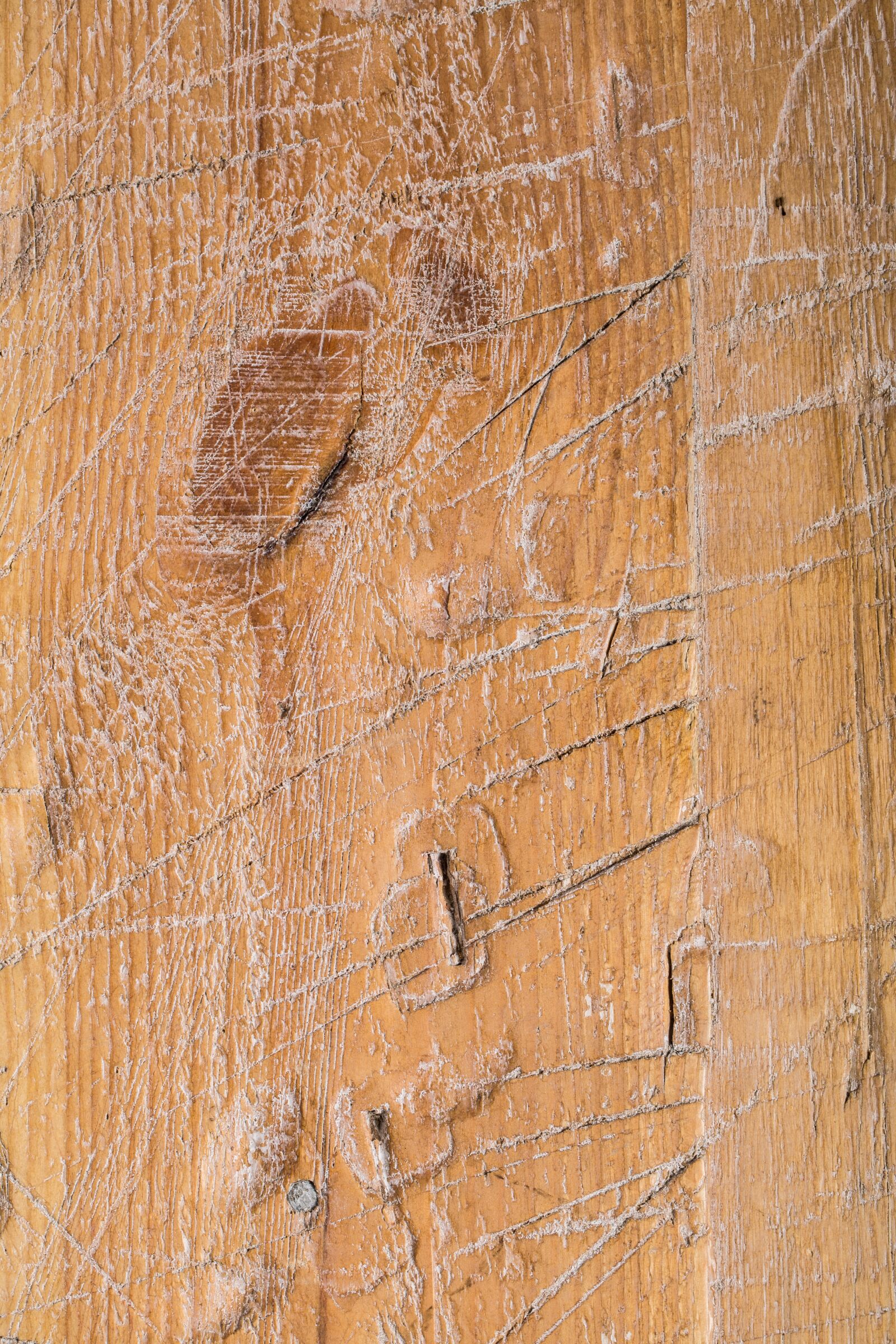 Canon EF 100mm F2.8L Macro IS USM sample photo. Wood, texture, ground photography