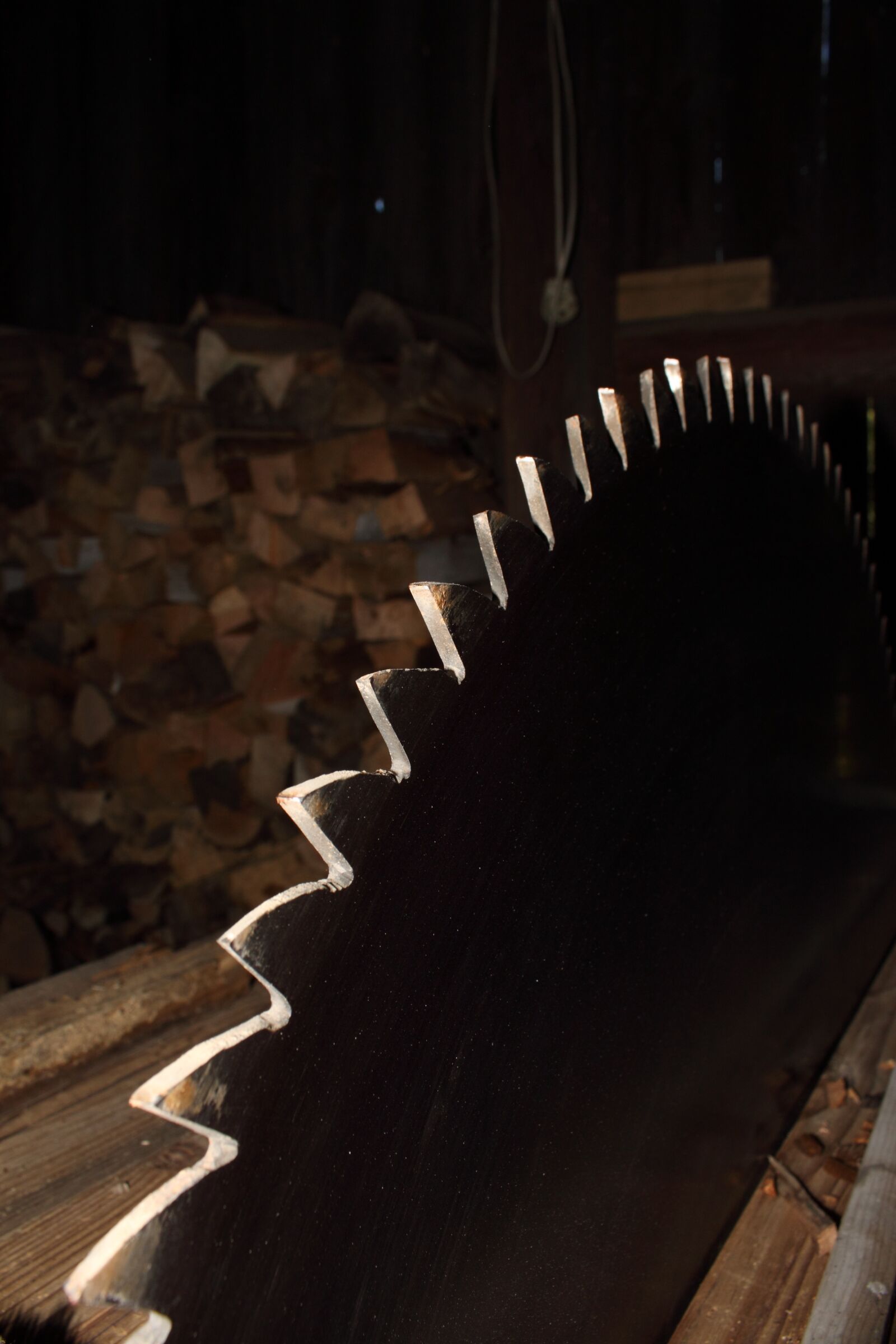 Canon EOS 500D (EOS Rebel T1i / EOS Kiss X3) sample photo. Saw, wood, cutting photography