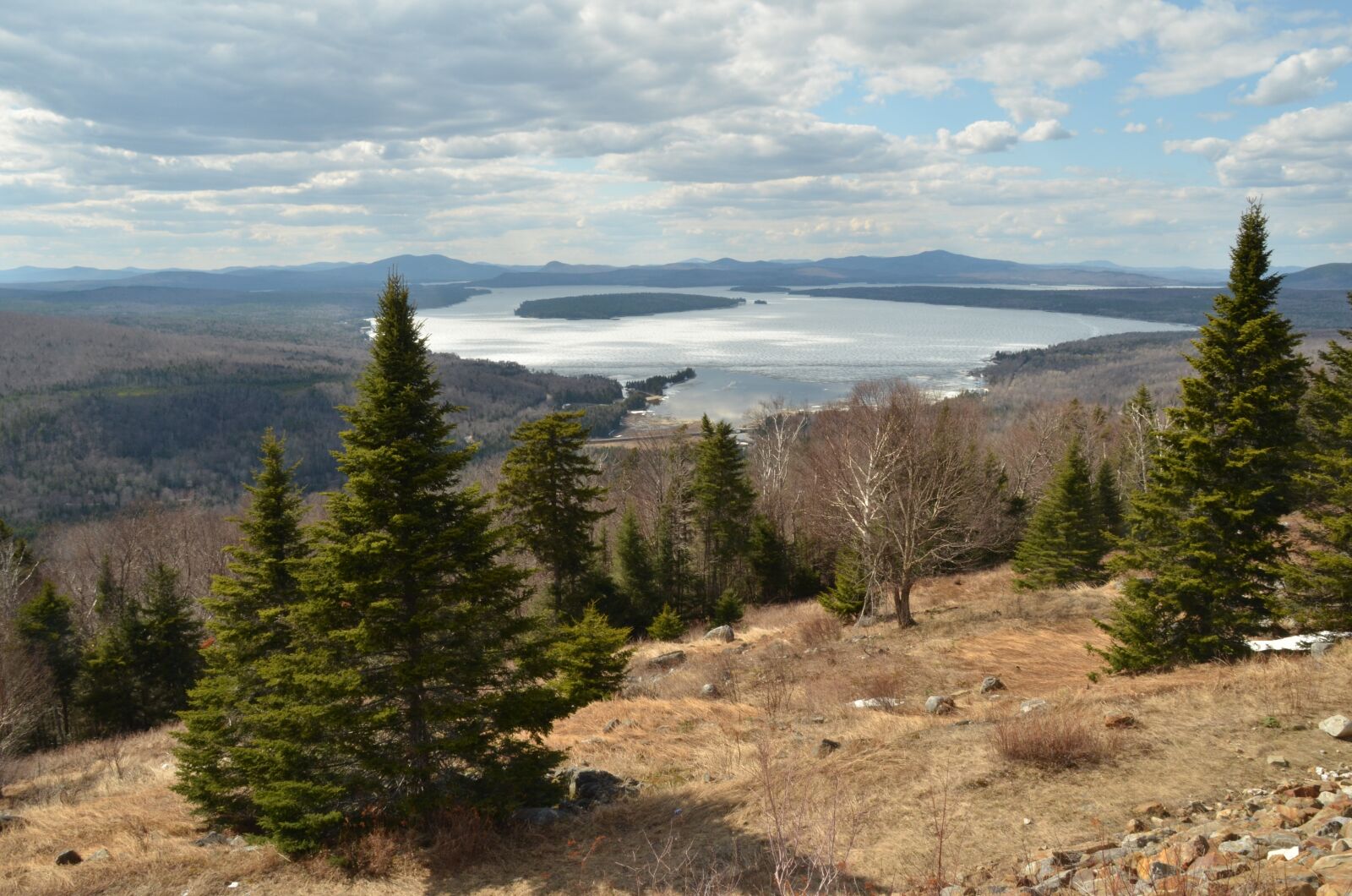 Nikon D7000 sample photo. More, forest, tree photography