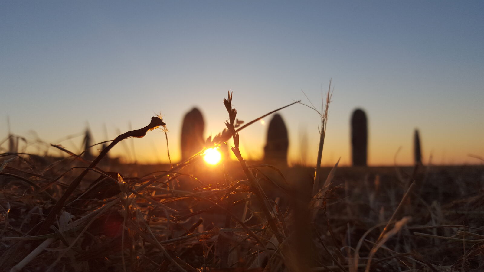 Samsung Galaxy S6 sample photo. Landscape, summer, sun, sunset photography