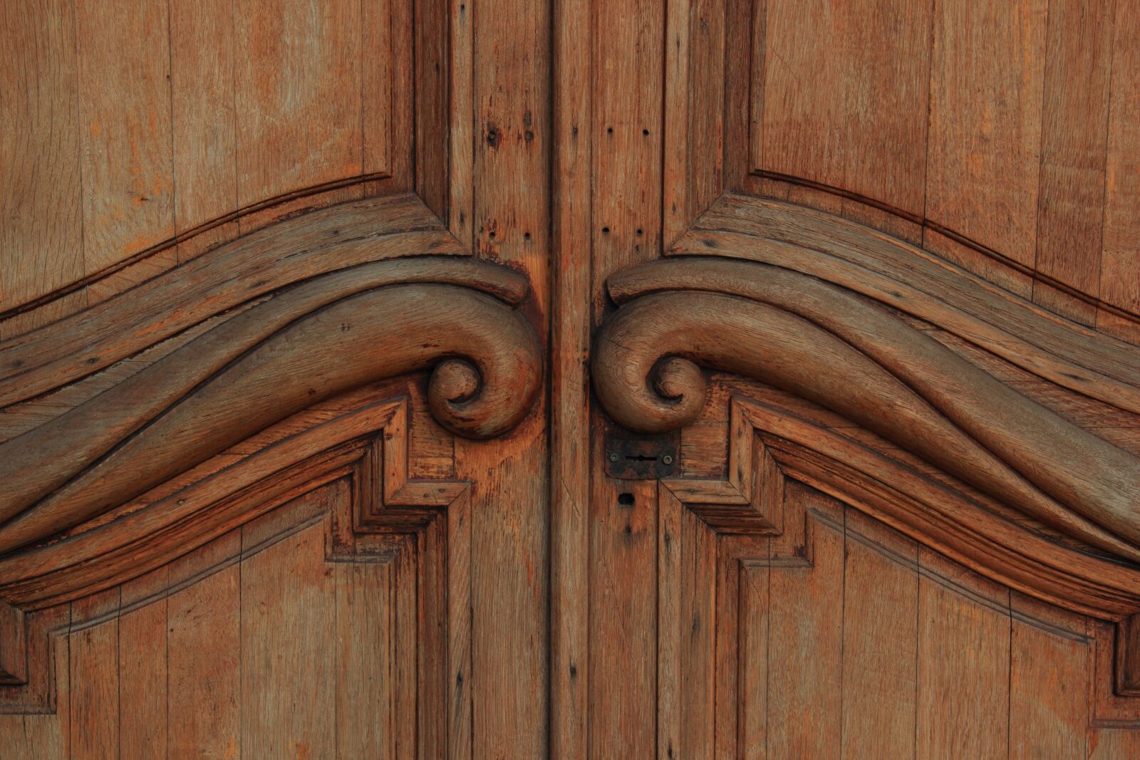 Canon EOS 550D (EOS Rebel T2i / EOS Kiss X4) sample photo. Door, woody, vintage photography