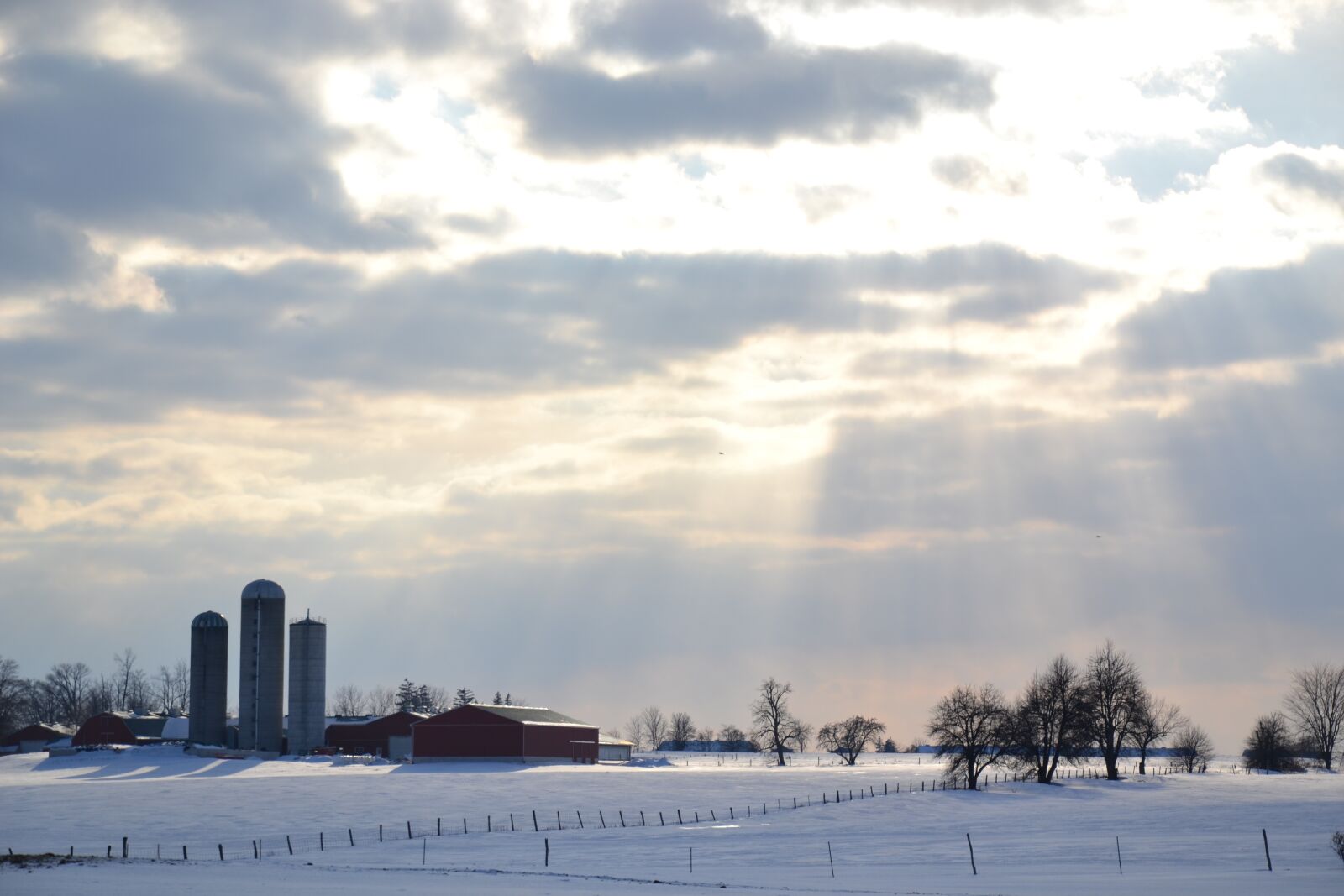 Nikon D3100 sample photo. Sunbeam, canada, farm photography