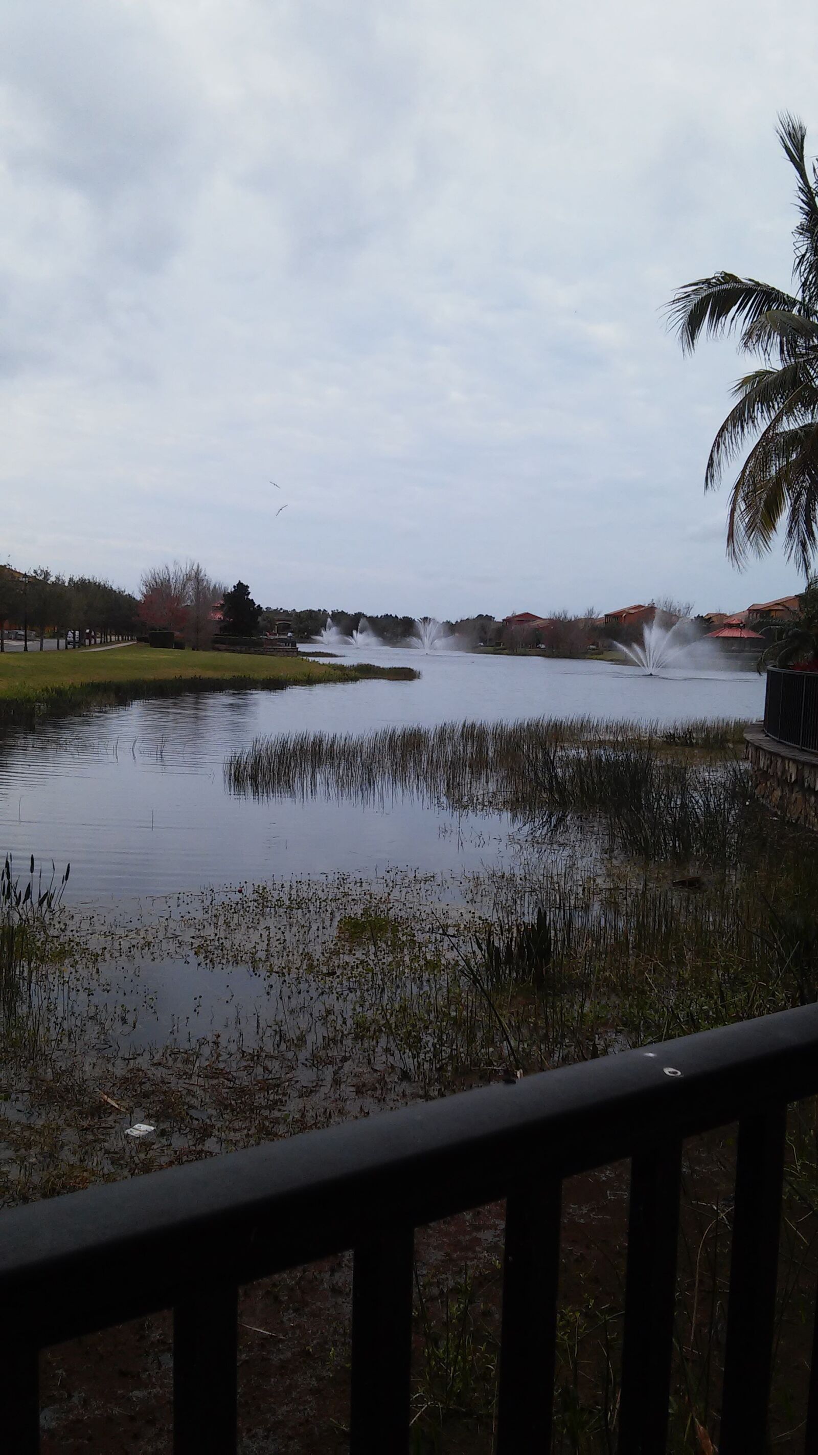 LG VOLT sample photo. Fountains, pond, swamp, water photography