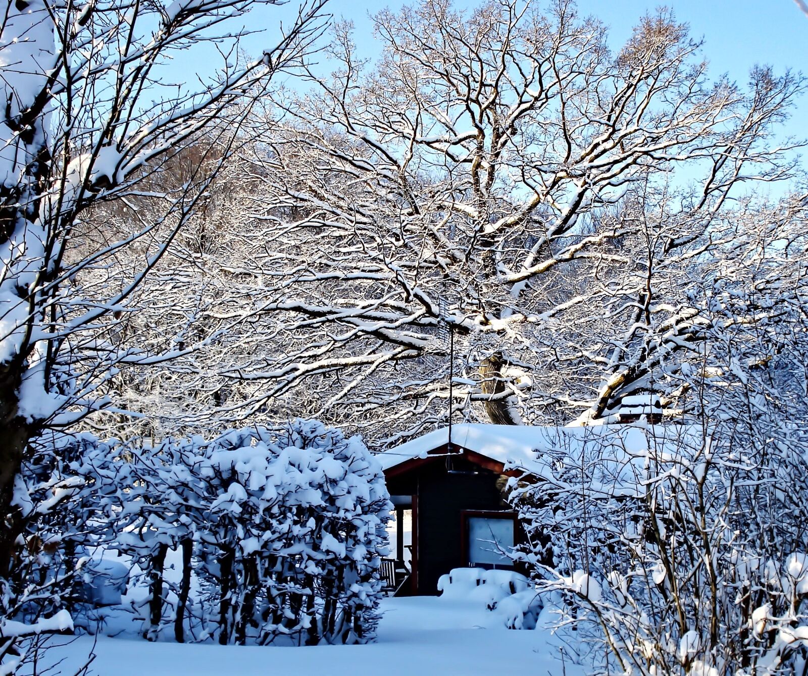 Sony DSC-W55 sample photo. Wintry, sweden, holiday house photography