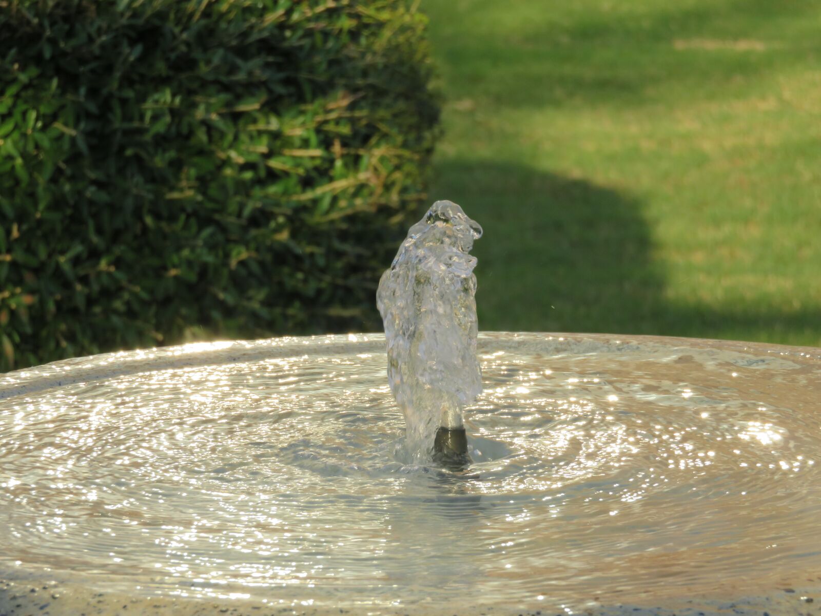 Canon PowerShot SX710 HS sample photo. Water, flow, fountain photography