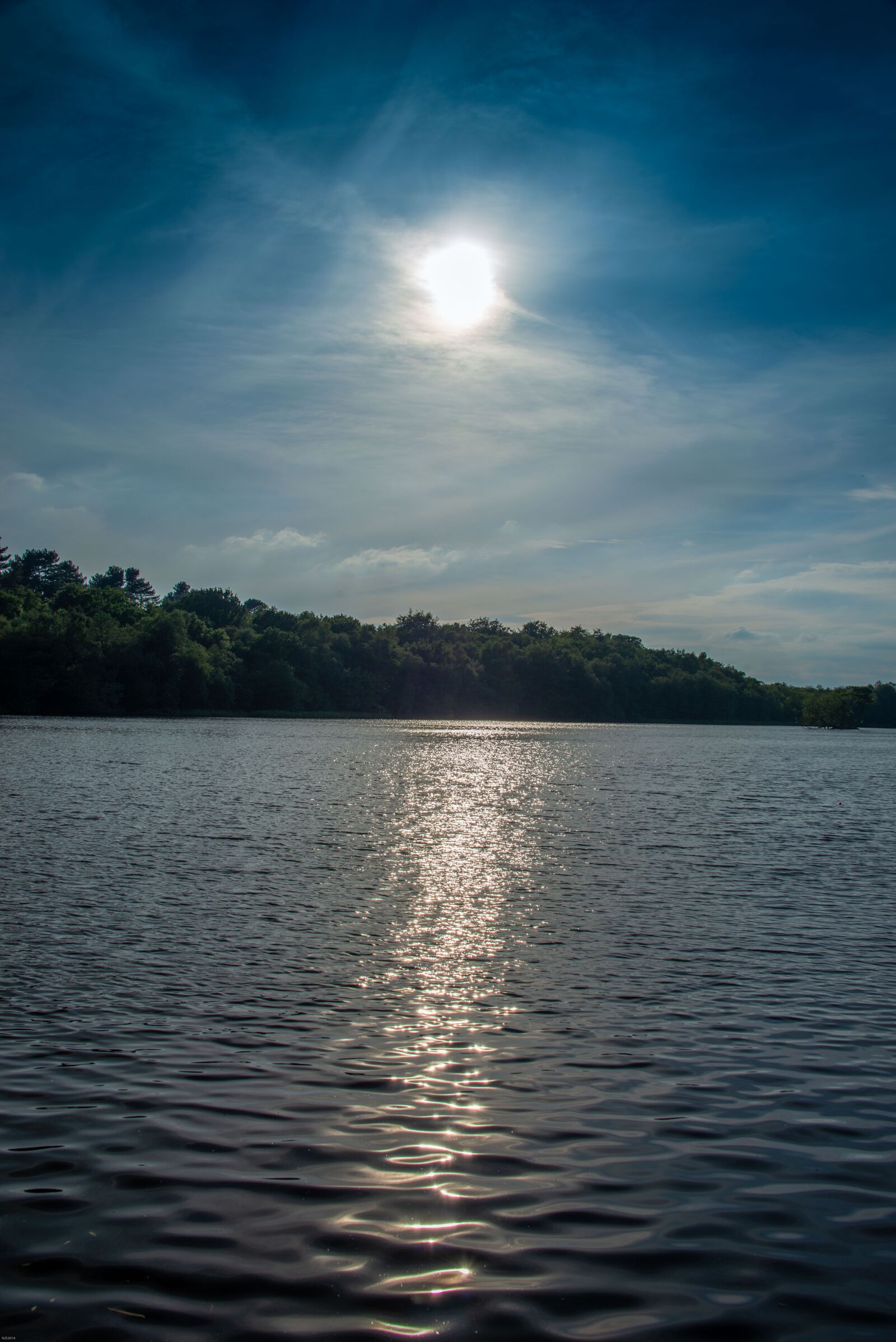 Nikon D800 sample photo. Lake, park, sunset photography